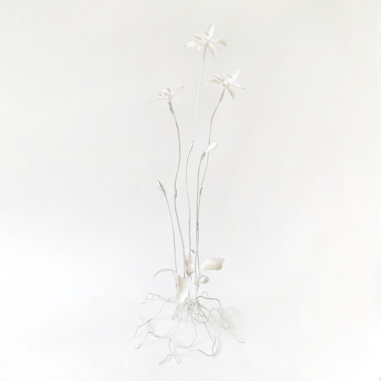 Sophie Carnell, Glossodia major / Waxlip orchid, 2025