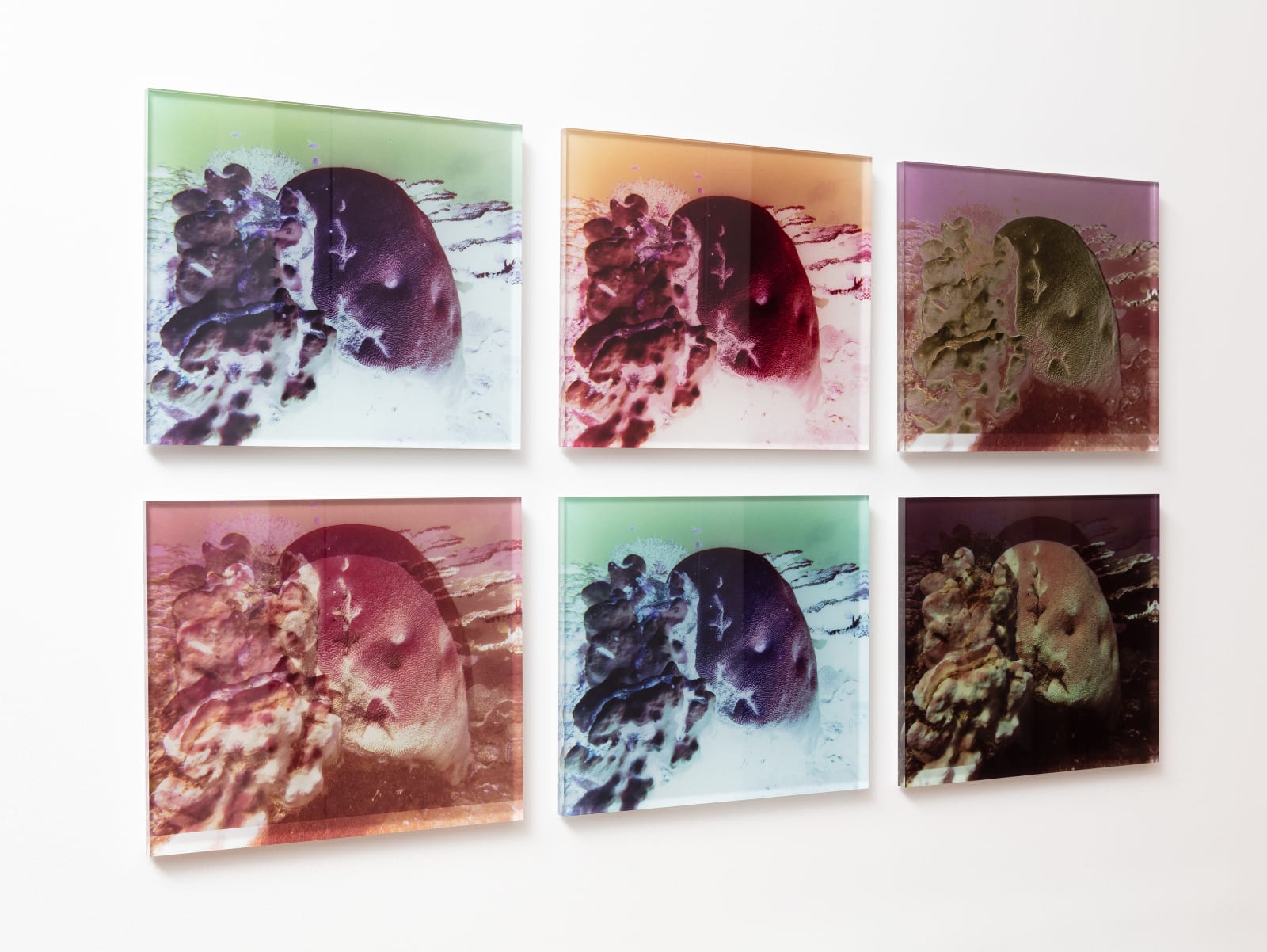 Izabela Pluta, Resonant exposure #2-7, 2025