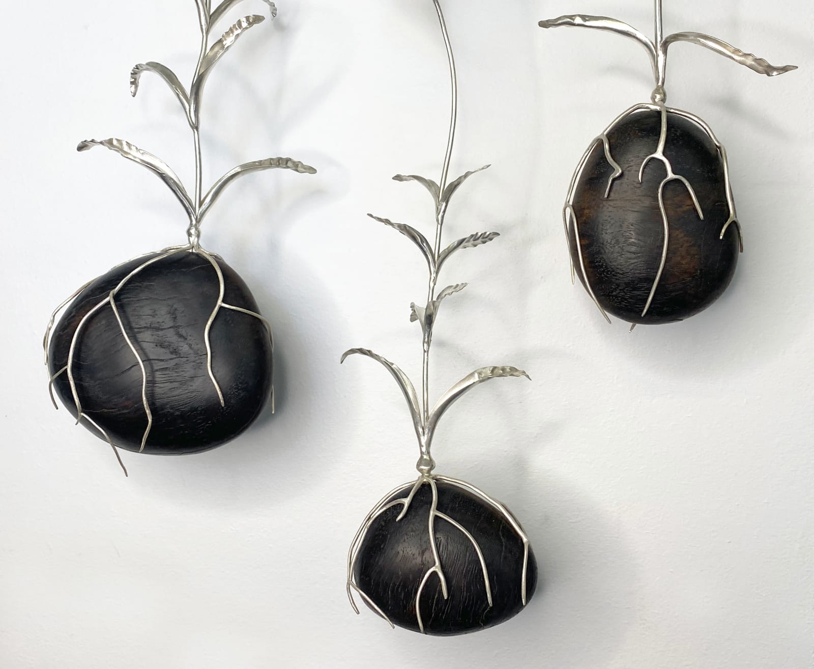 Sophie Carnell, Wahlenbergia stricta/Tall bluebell, 2025