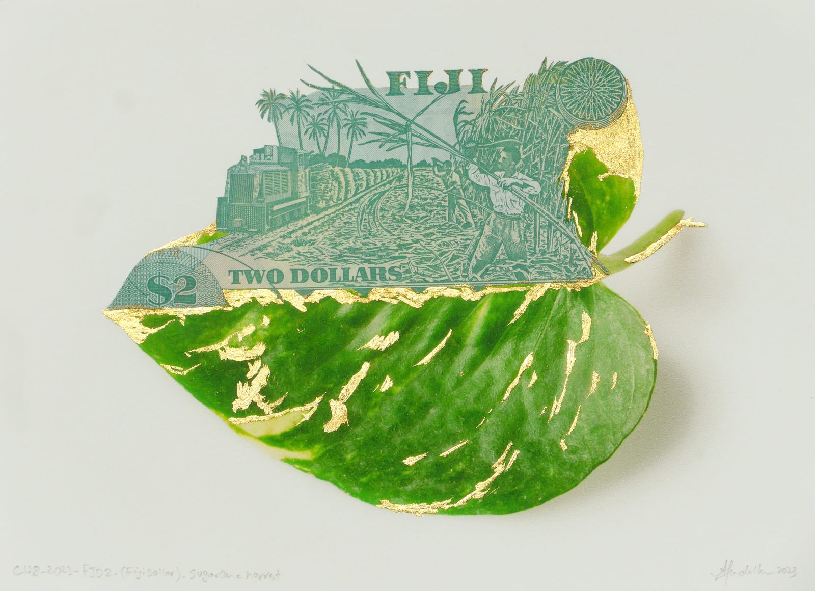 Abdullah M. I. Syed, Sugar Cane Harvest and Cargo Train, 2 Fiji Dollar (Reverse), 2023