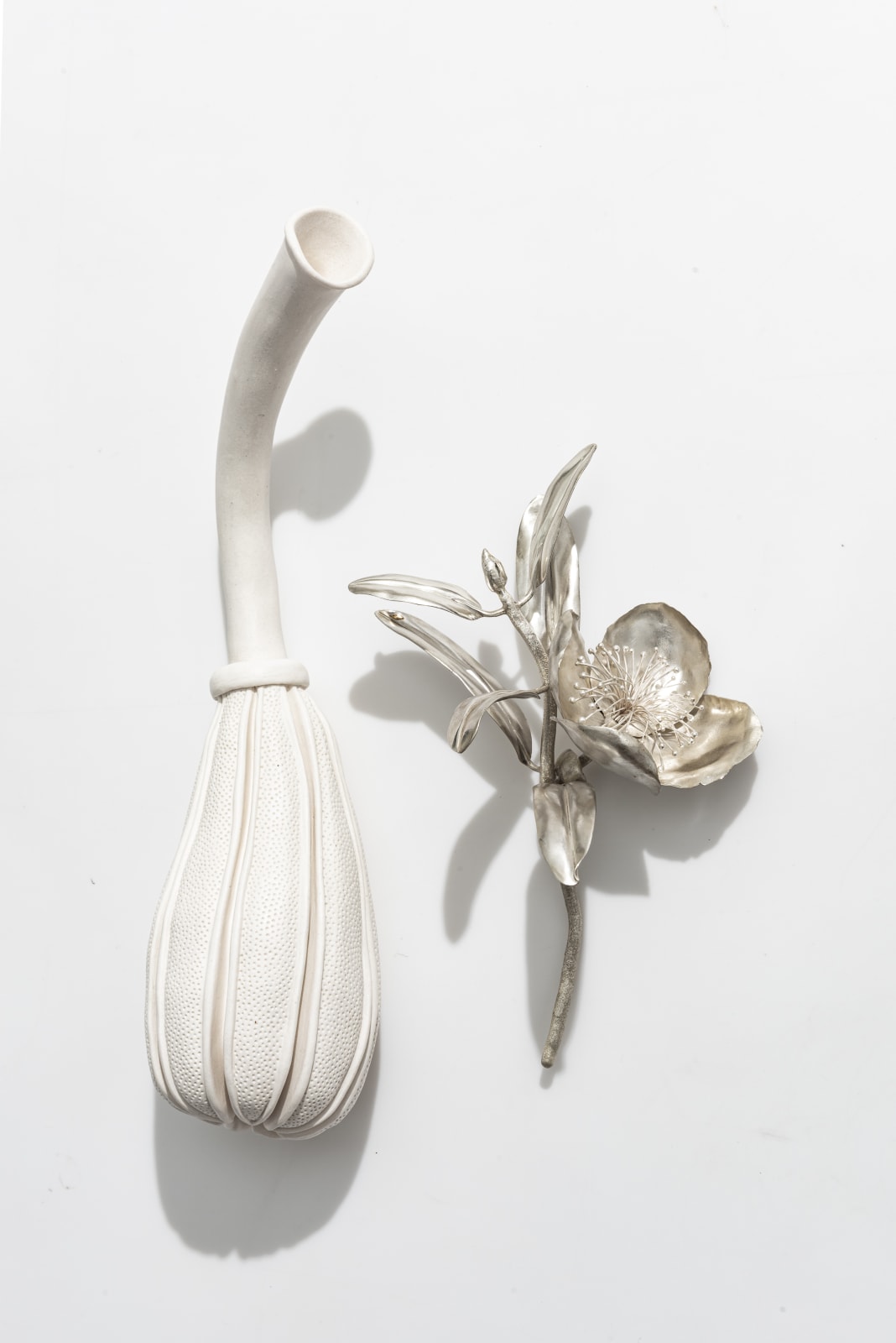 Sarah Rayner & Sophie Carnell, Florilegium …. Whispered conversations III, 2020