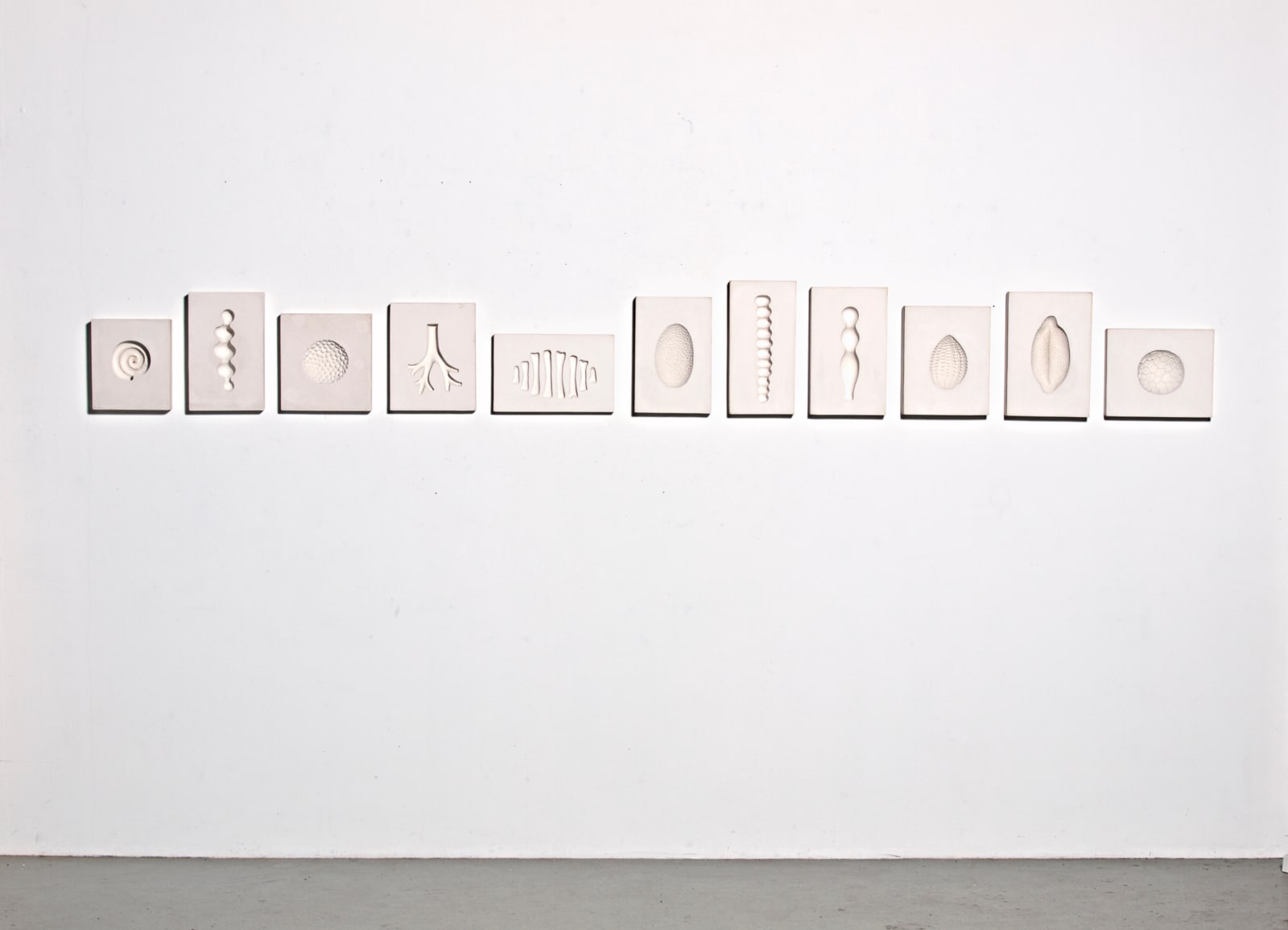 Angela Valamanesh, A little bit of everything, 2009