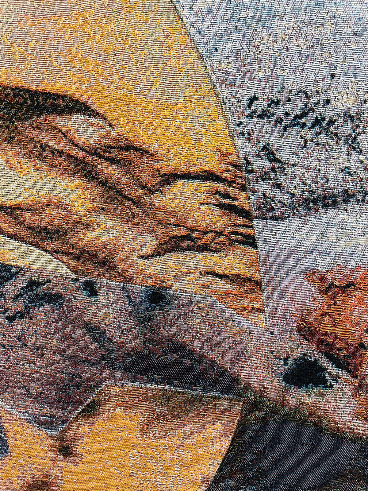 Izabela Pluta, Shadowing #1, 2023