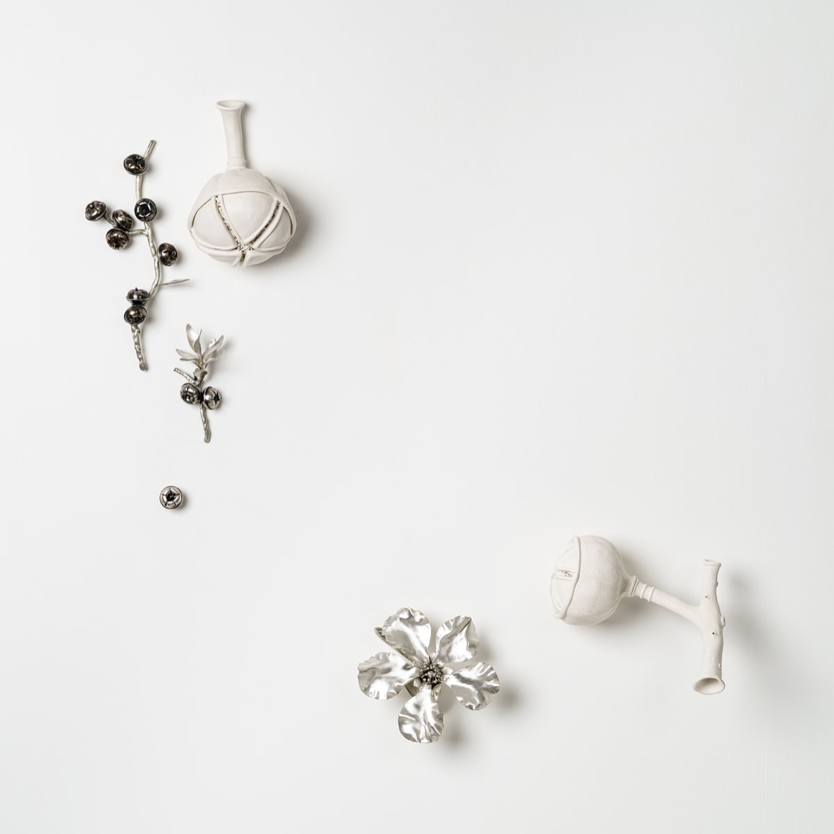 Sarah Rayner, Leptospermum grandiflorum/Autumn Tea Tree, 2021