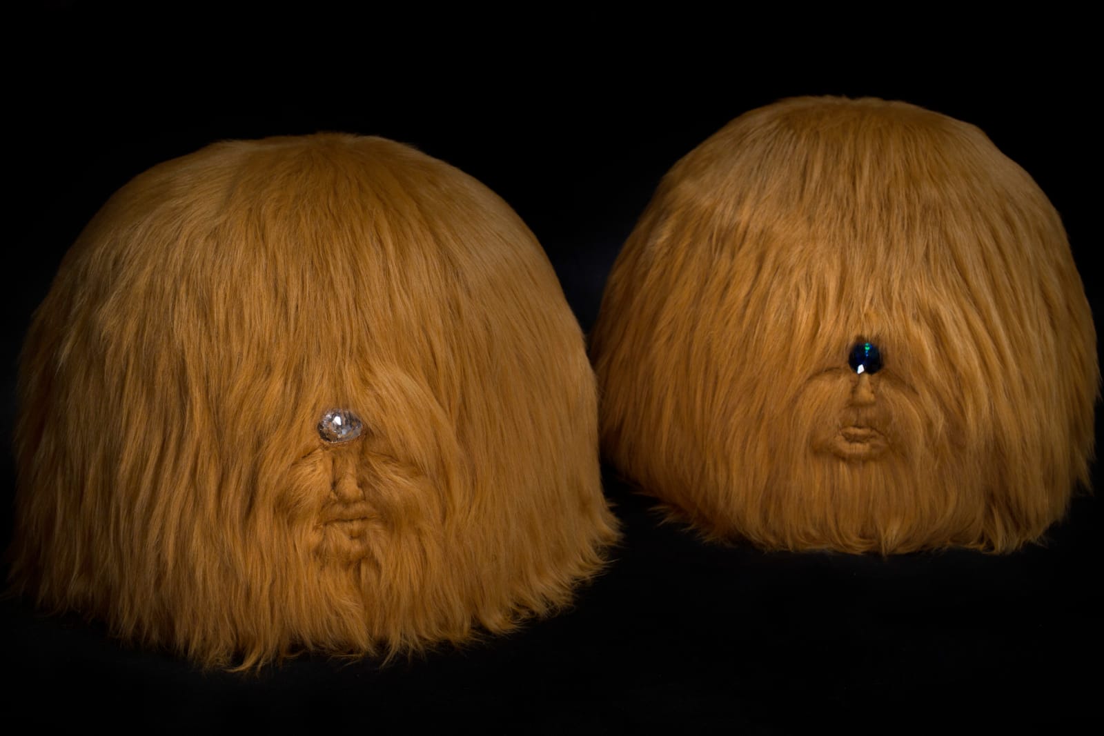 Tarryn Gill & David Tate, To See The Future & To See The Past, 2020