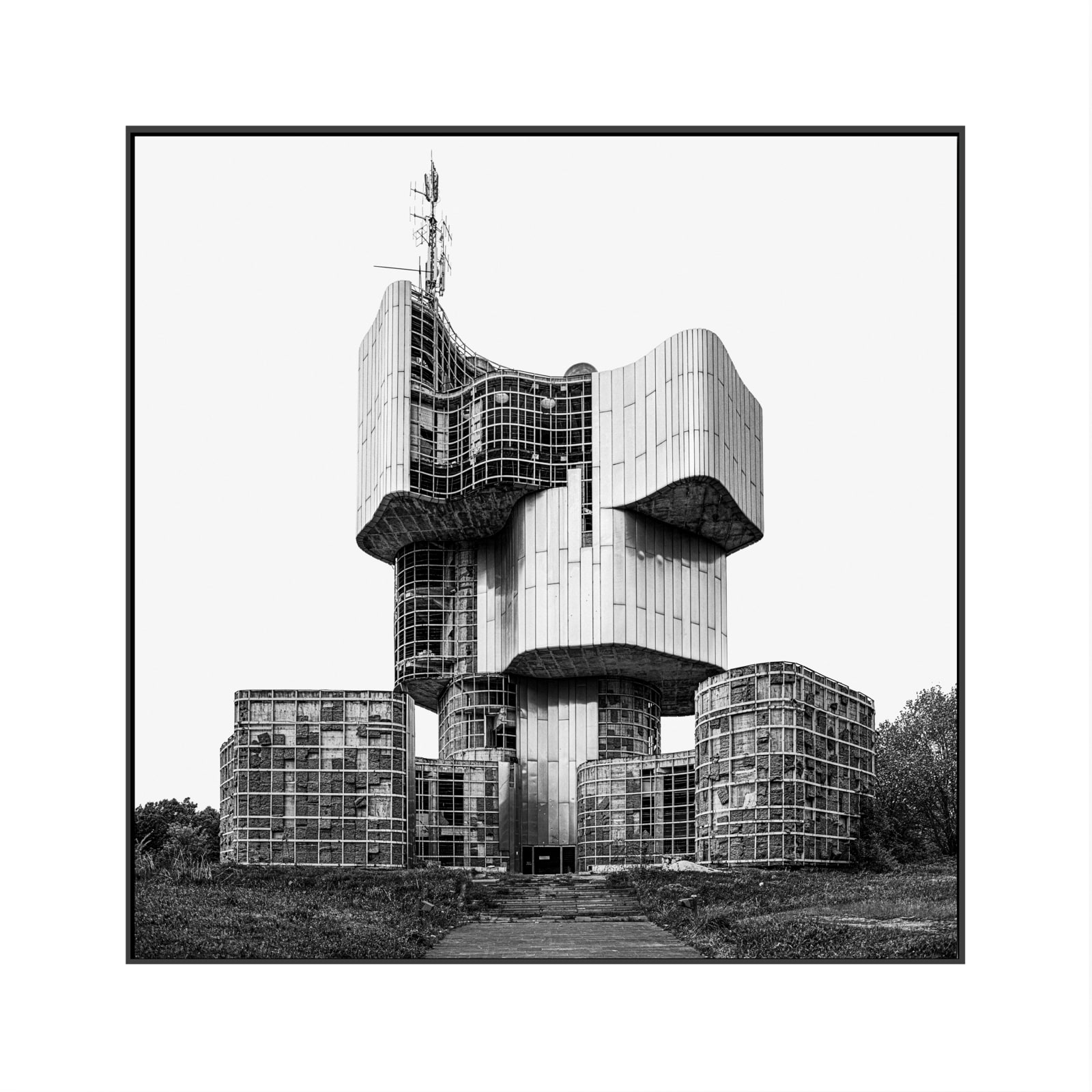 Don Cameron, Petrova Gora, 2020