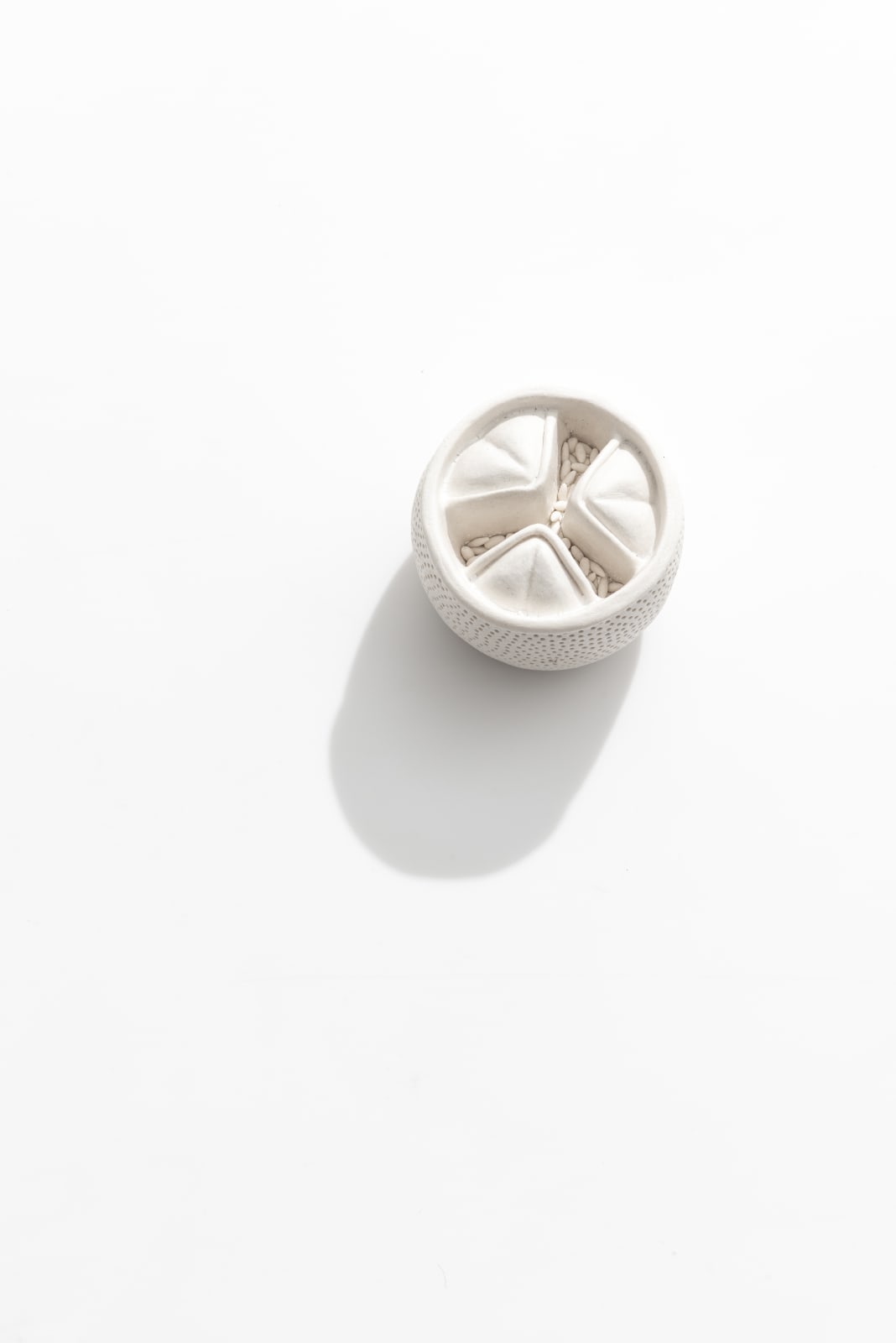 Sarah Rayner, Pause …, 2020