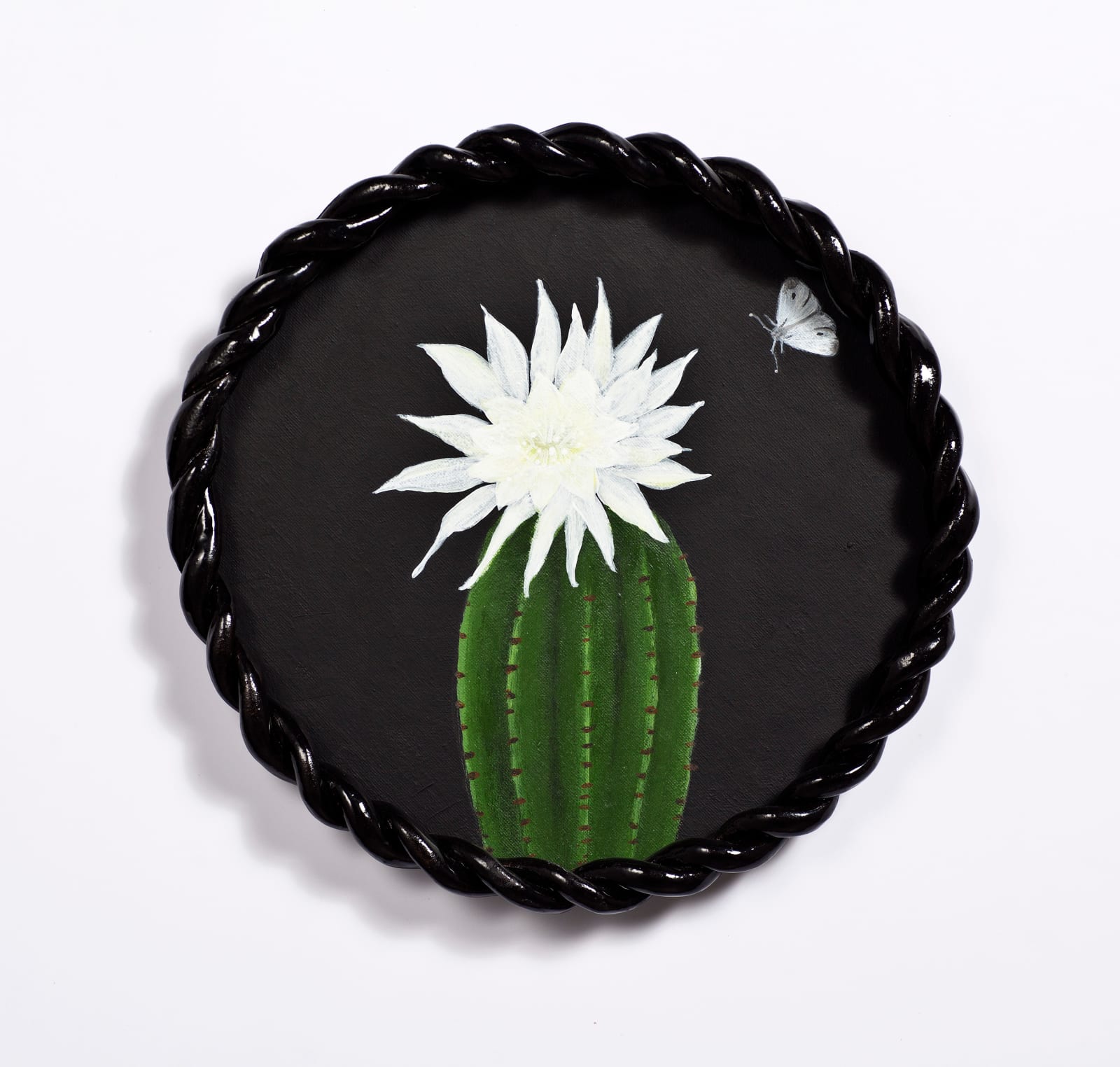 Angela Valamanesh, Birds and bees 6, (Cactus with Moth), 2024