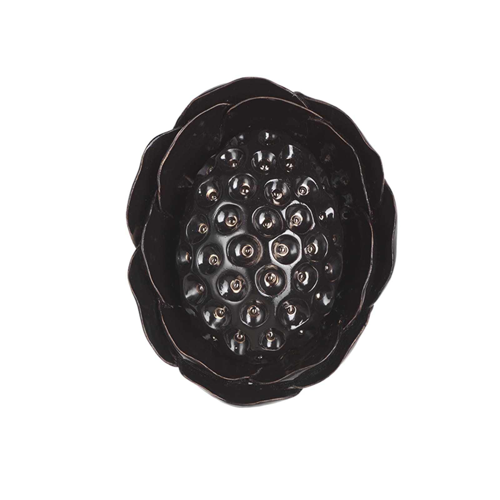 Angela Valamanesh, The Egg and the Flower 8, 2021