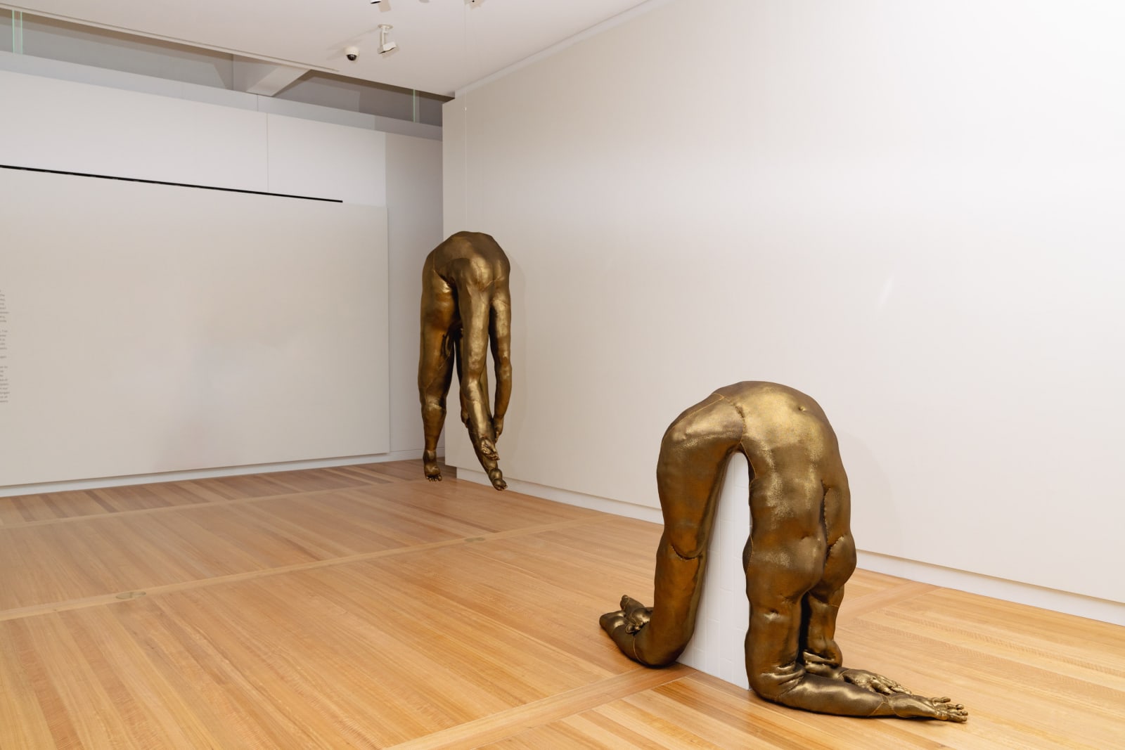 Tarryn Gill, Limber 7, 2022