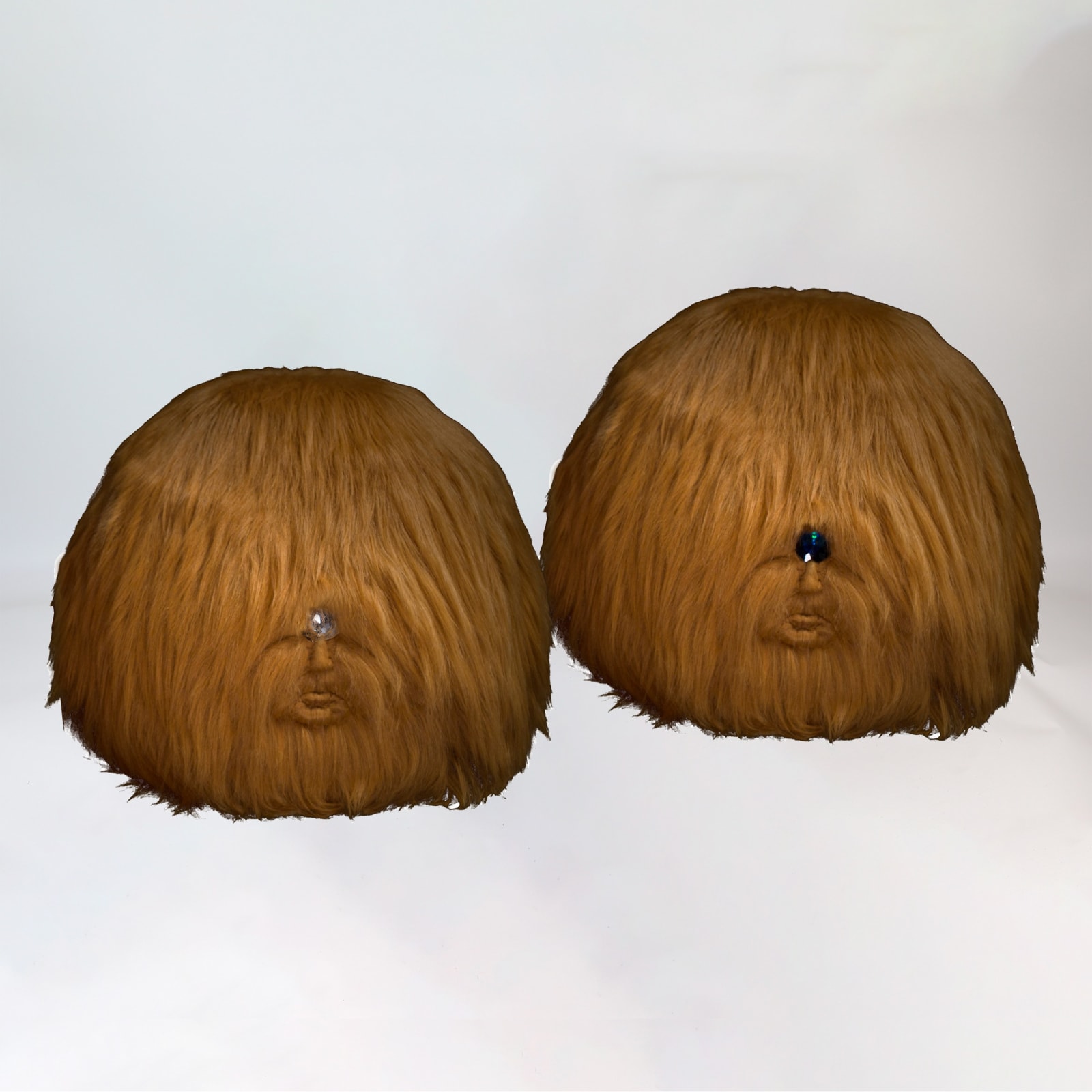 Tarryn Gill & David Tate, To See The Future & To See The Past, 2020