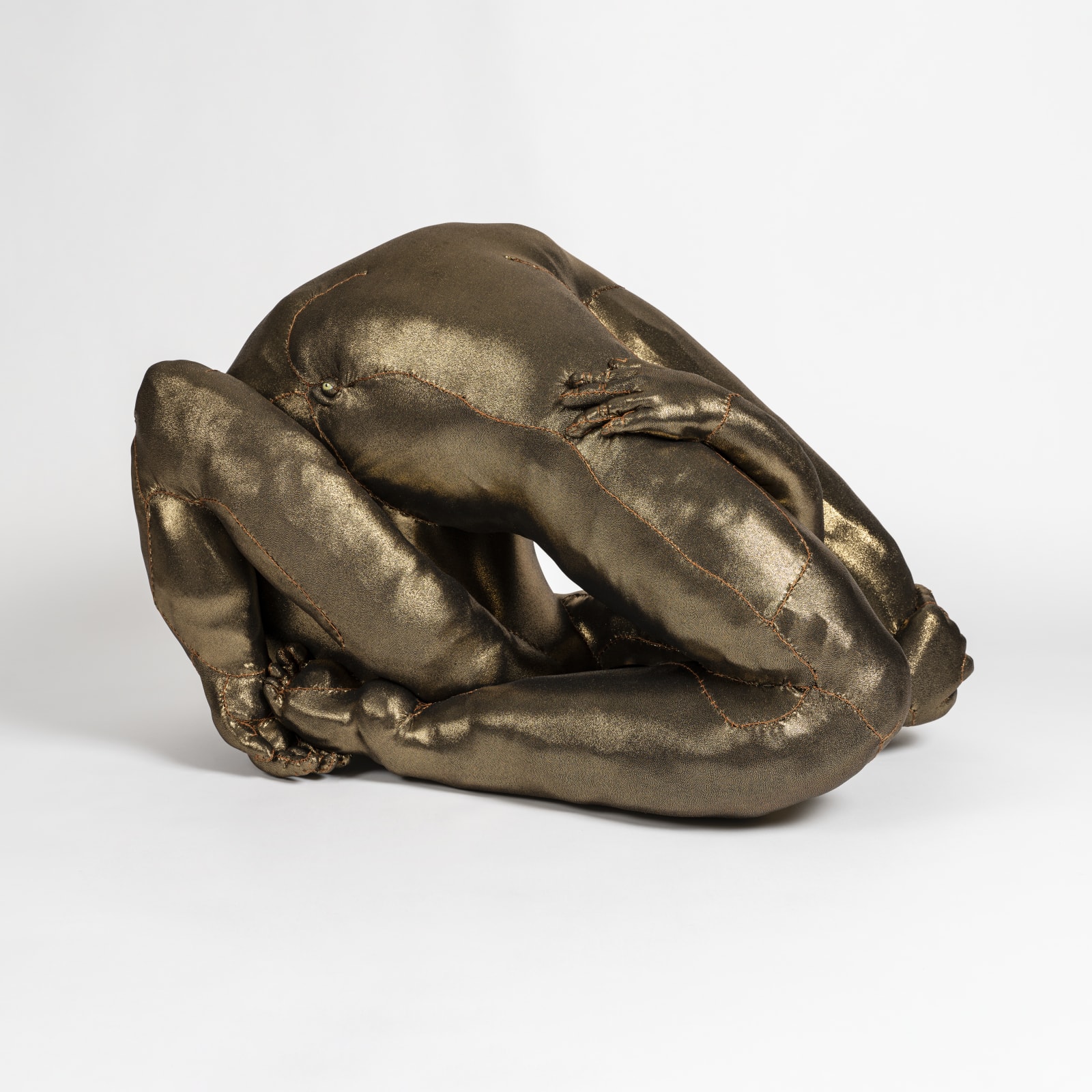 Tarryn Gill, Limber 6, 2021