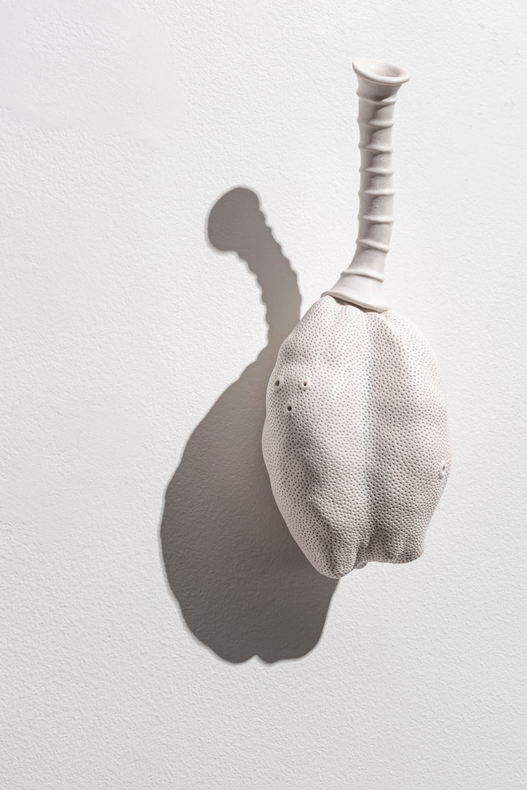 Sarah Rayner, Distance of a Whisper … Group E , 2023