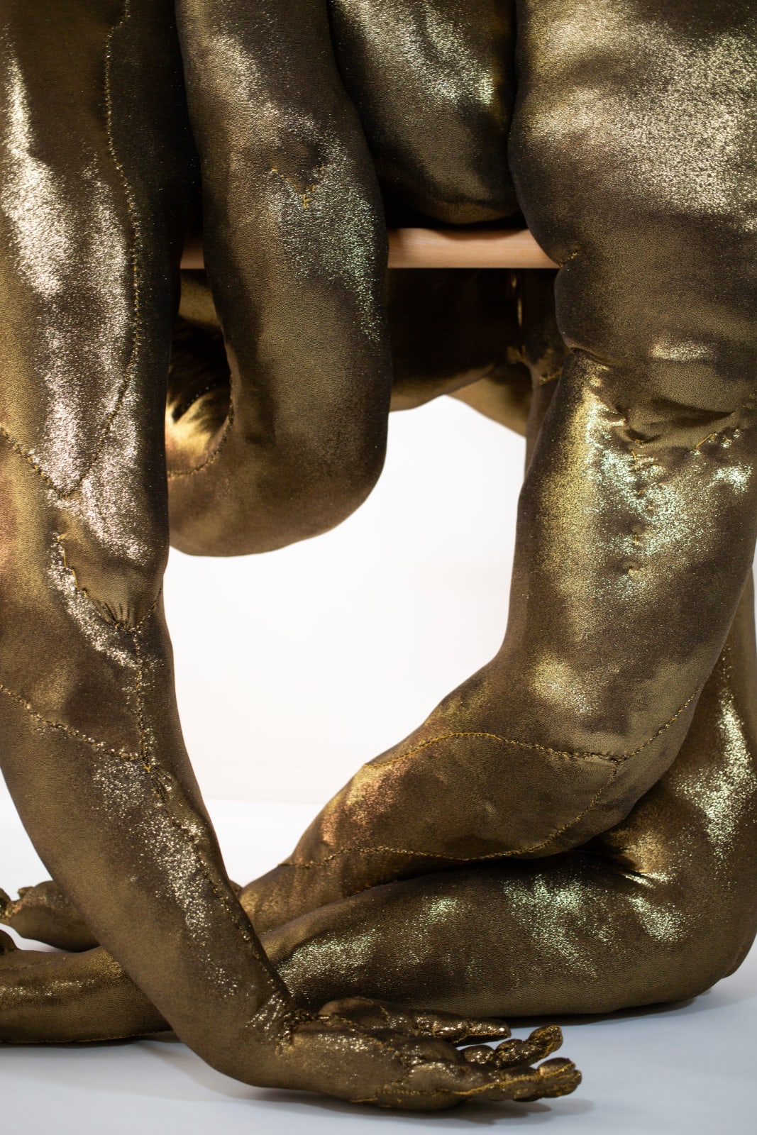 Tarryn Gill, Tender Bodies: In Favour of Softness (2), 2024