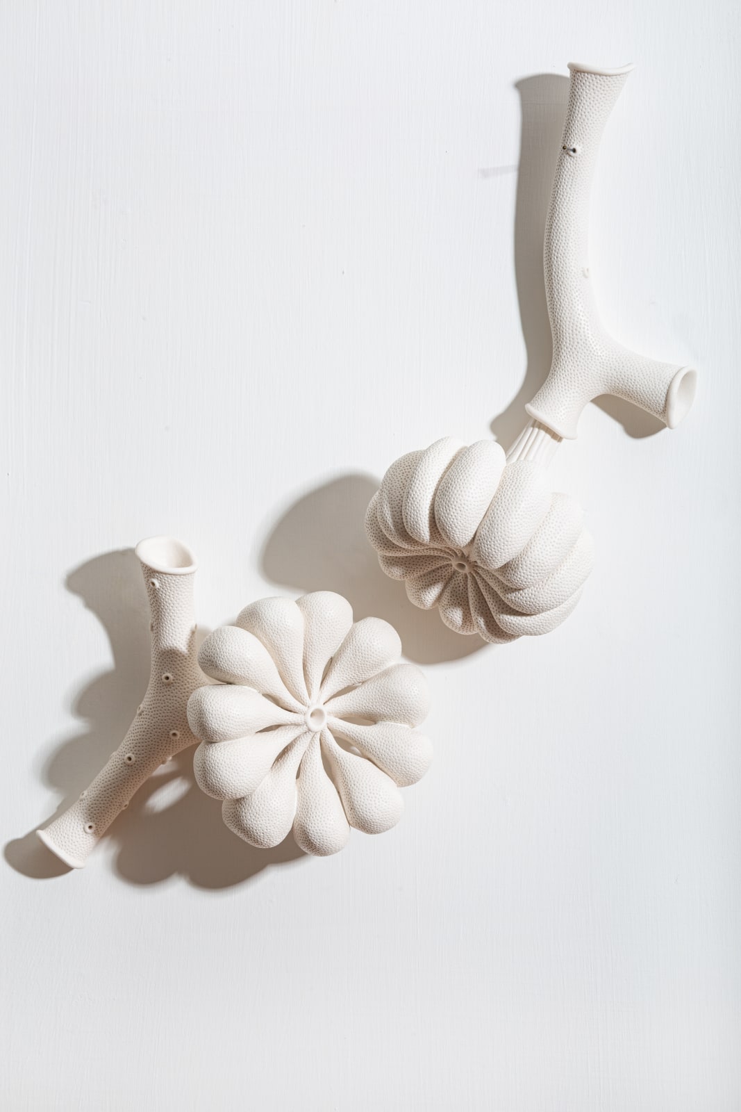 Sarah Rayner, Understories....2, 2024
