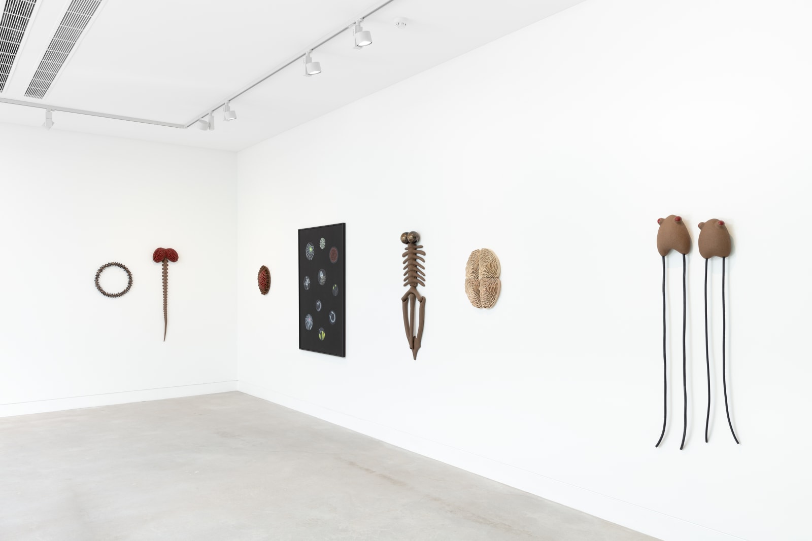 Angela Valamanesh, Little creatures, A, 2021