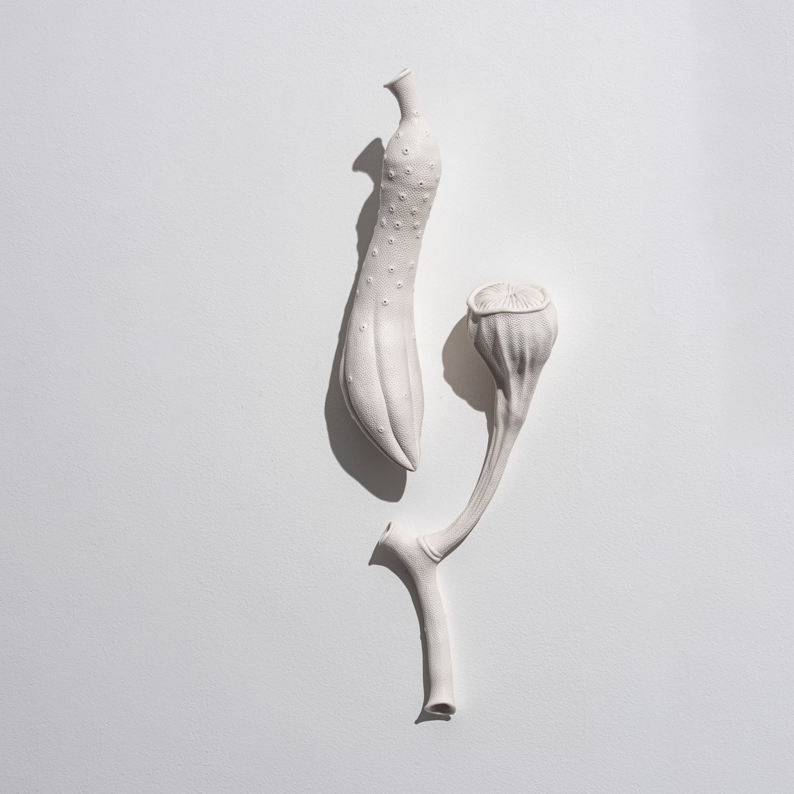 Sarah Rayner, Distance of a Whisper … Group F, 2023