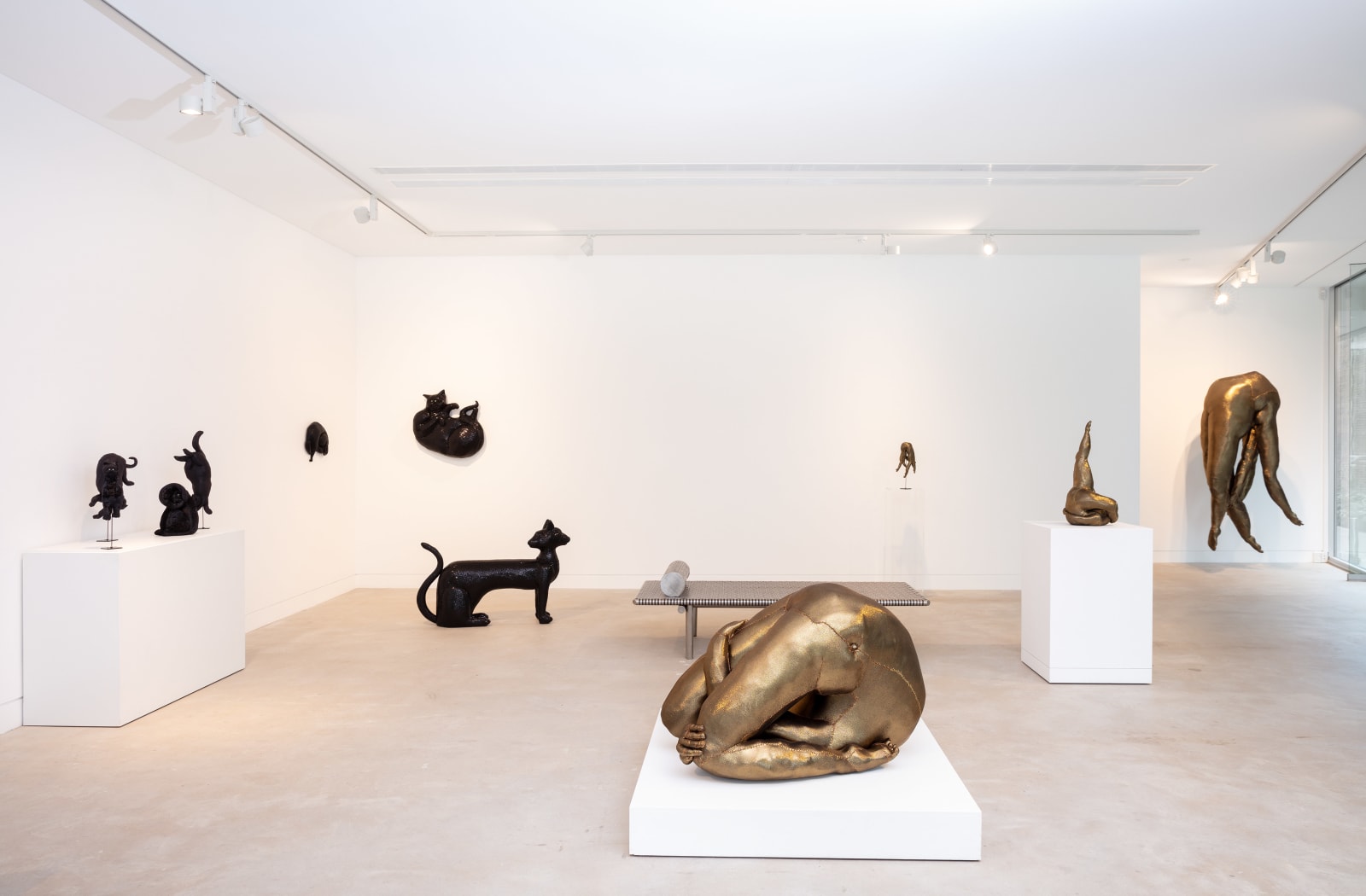 Tarryn Gill, Limber 6, 2021