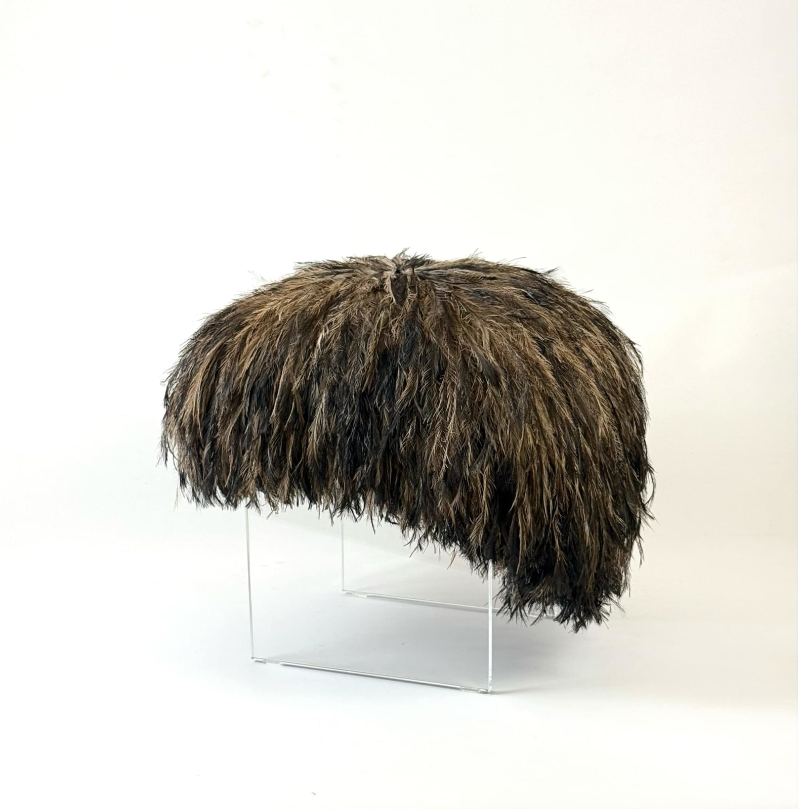 David Tate, Emu's Dream, 2024