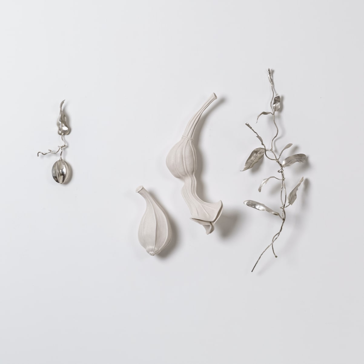 Sarah Rayner & Sophie Carnell, Pararistolochia praevenosa/Richmond Birdwing Vine, 2021