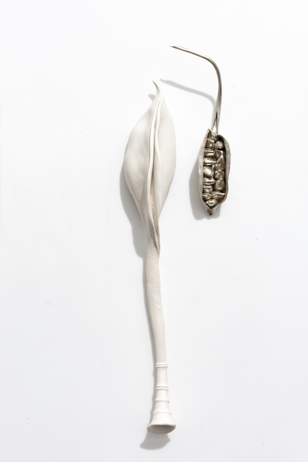 Sarah Rayner & Sophie Carnell, Florilegium …. Whispered conversations III, 2020