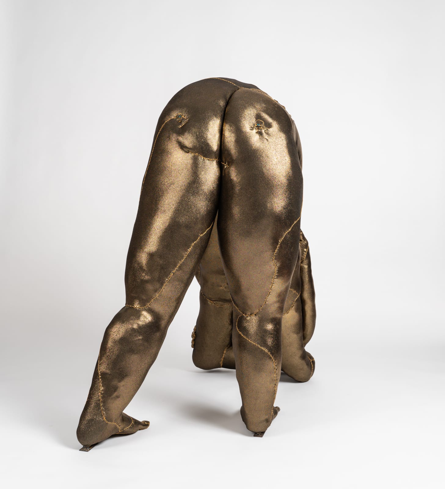 Tarryn Gill, Limber 5, 2021