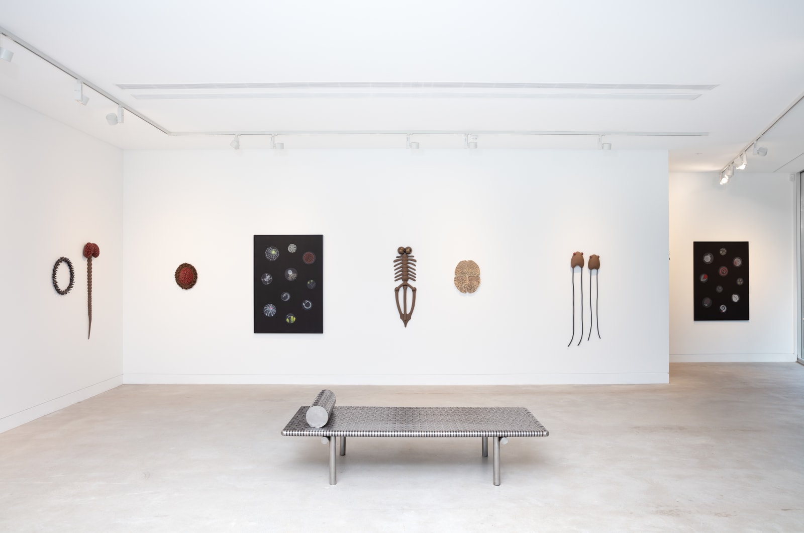 Angela Valamanesh, The Mortician’s Garden, reconstructed, 2020