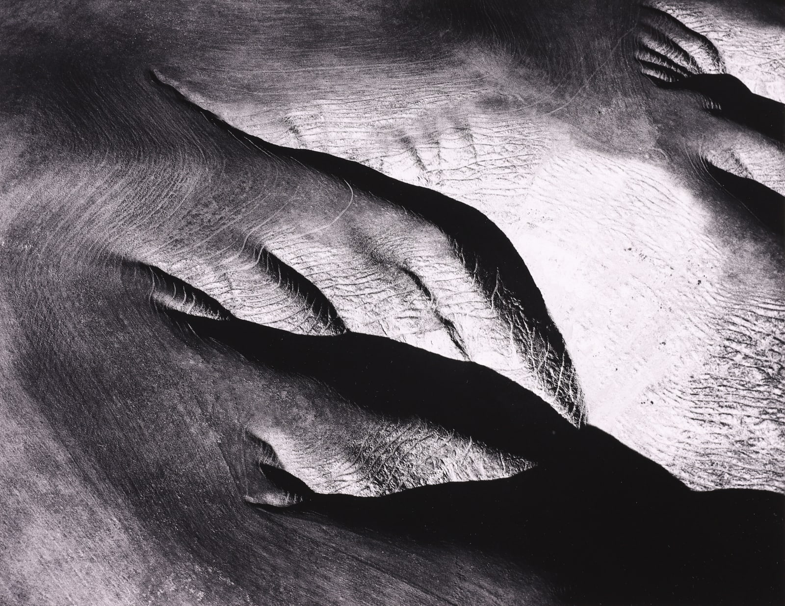 William Garnett, Stock Trails Near Paso Robles, CA, 1953