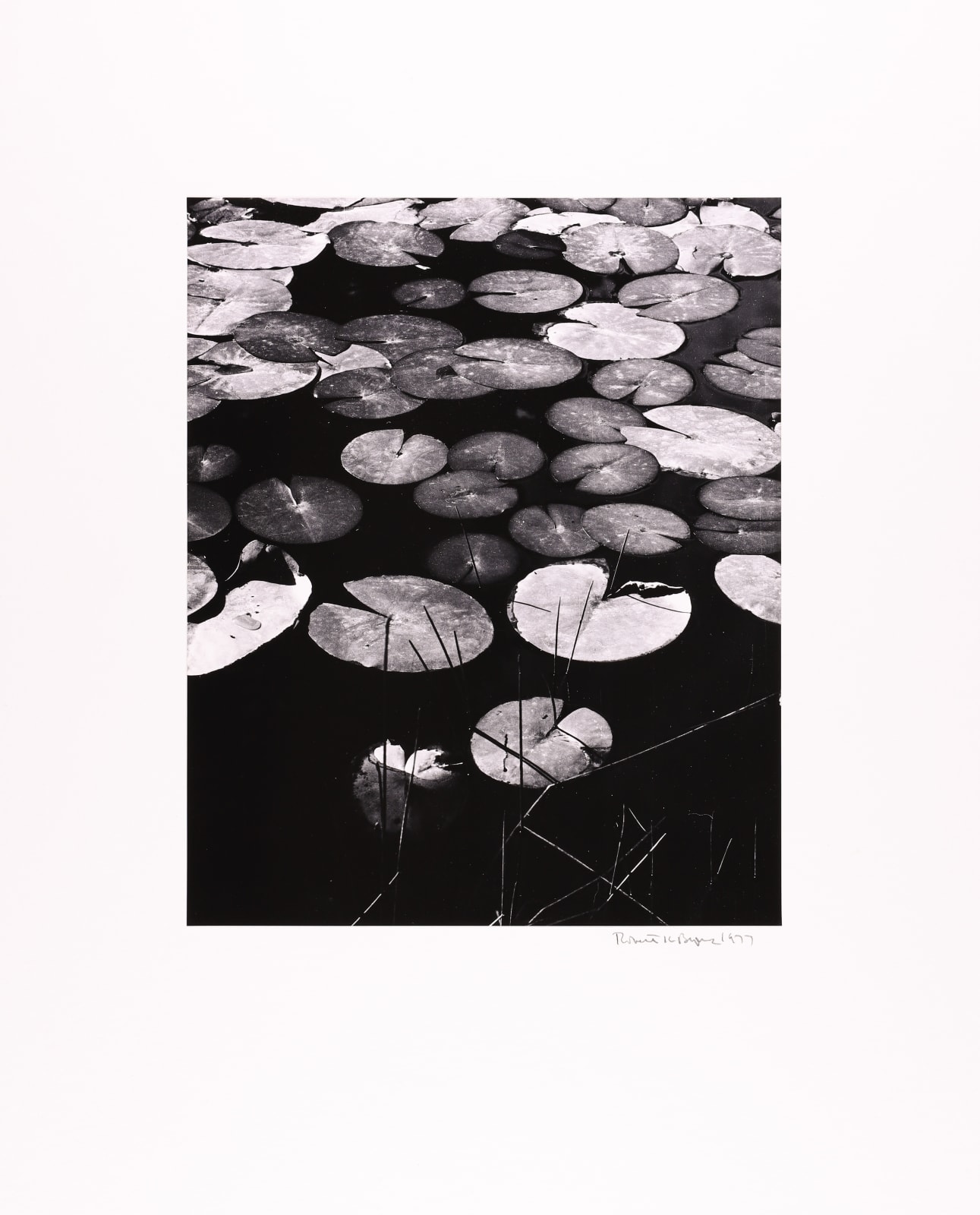 Robert K. Byers, Wawona at Yosemite, 1977