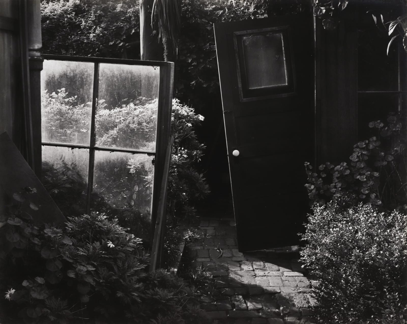 Pirkle Jones, Garden Detail, San Francisco, 1947