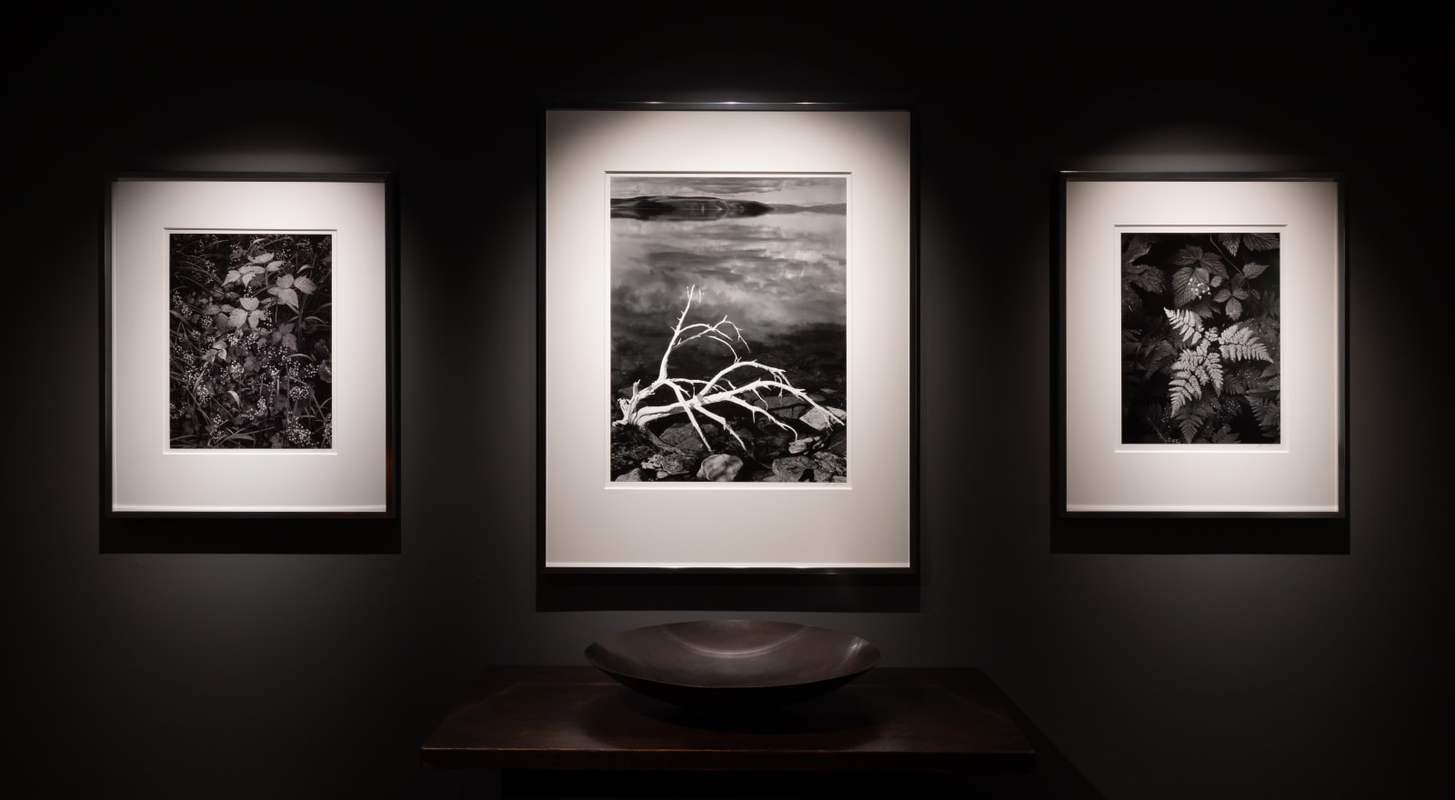 Ansel Adams, White Branches, Mono Lake, CA, 1947