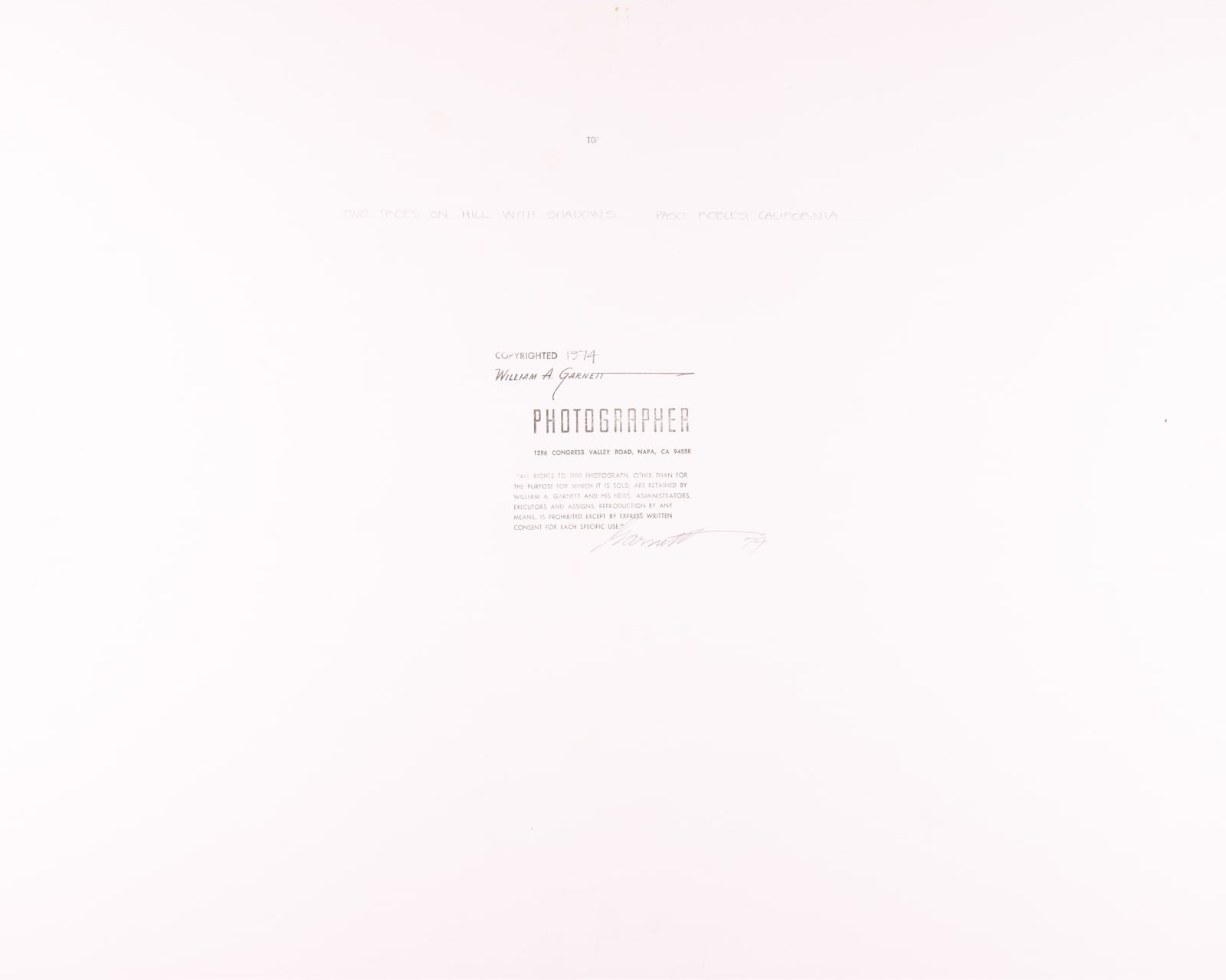 William Garnett, Two Trees on Hill with Shadows, Paso Robles, CA, 1974