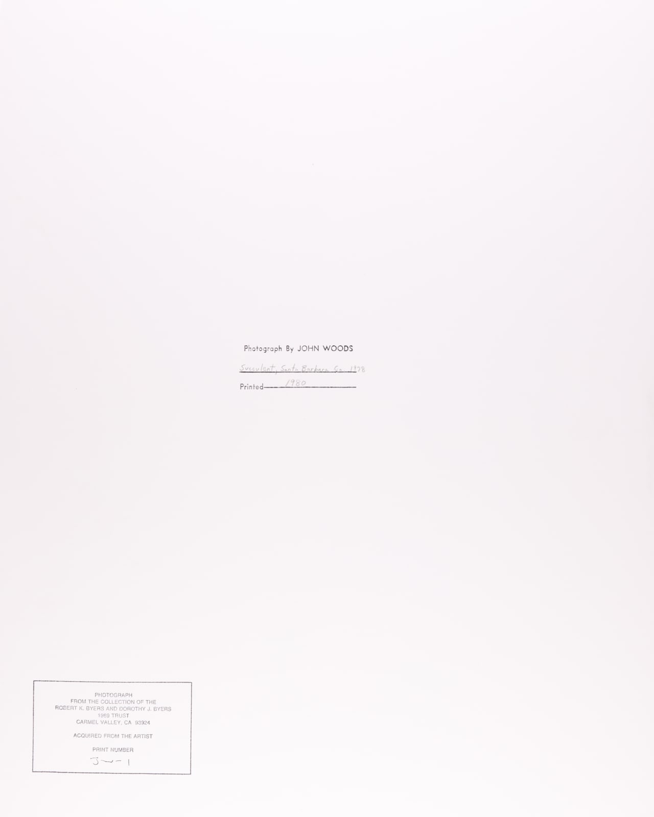 John Woods, Succulent, Santa Barbara, CA, 1978