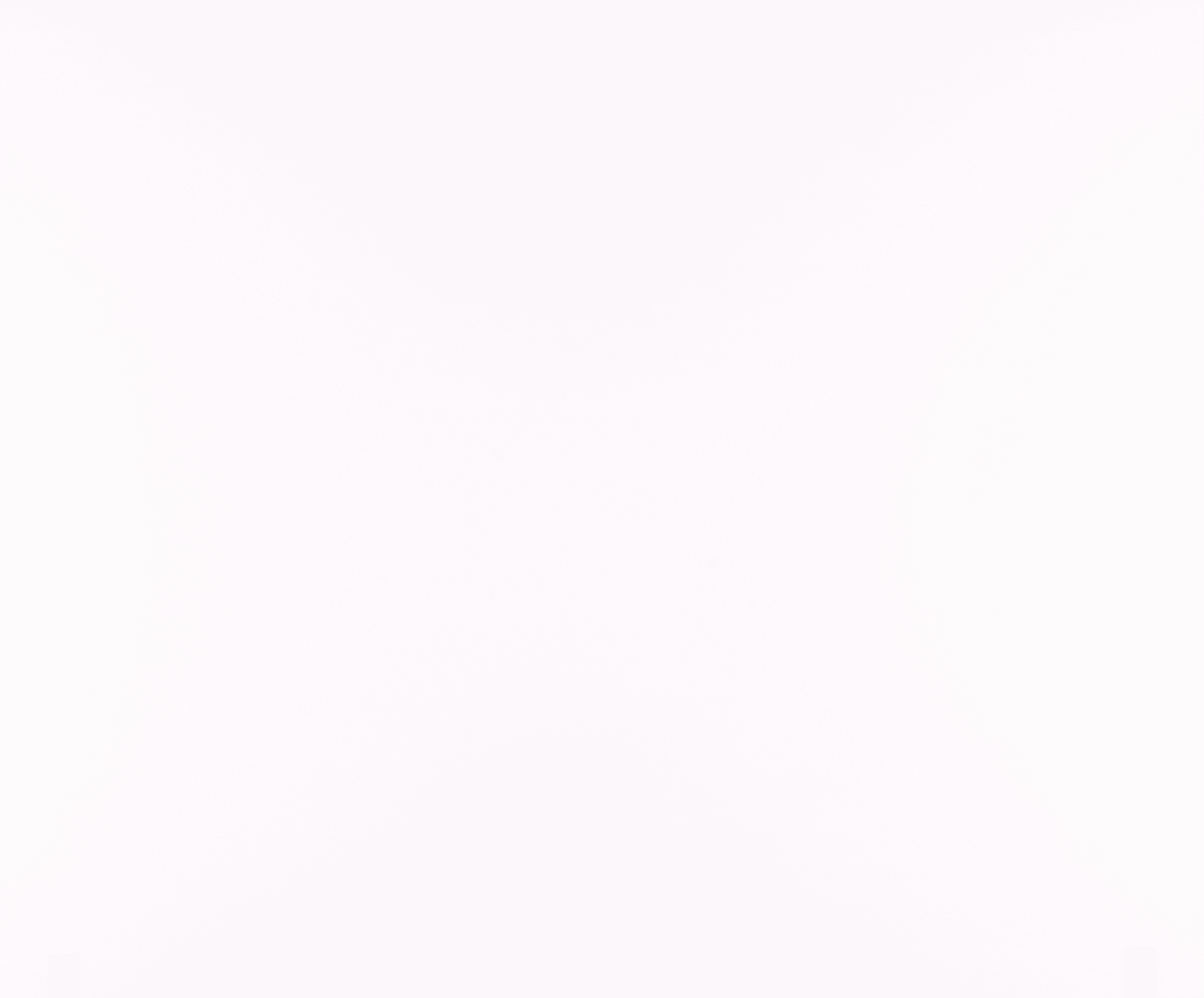 Brett Weston, Lake Patzcuaro, Mexico, 1976