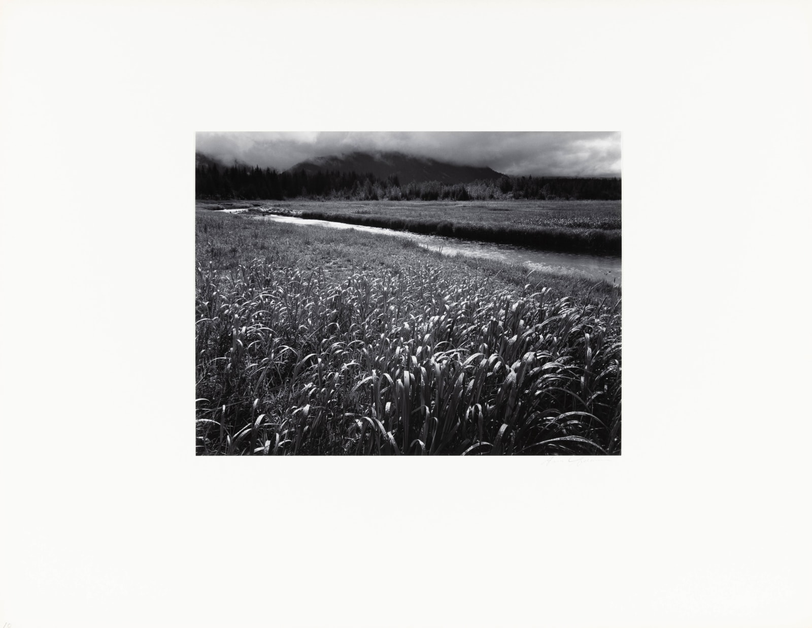 Ansel Adams, Rain, Beartrack Cove, Glacier Bay National Monument, Alaska, 1949