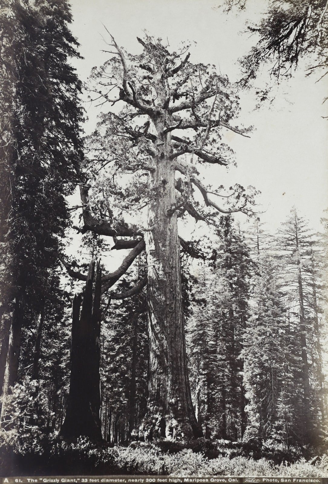 Carleton Watkins, Album of 39 Albumen Prints of the American West, 1876