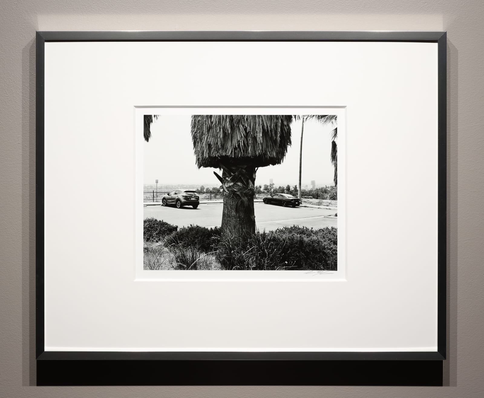 Ryan McIntosh, Grandview Drive, Elysian Park, Los Angeles, CA, 2020