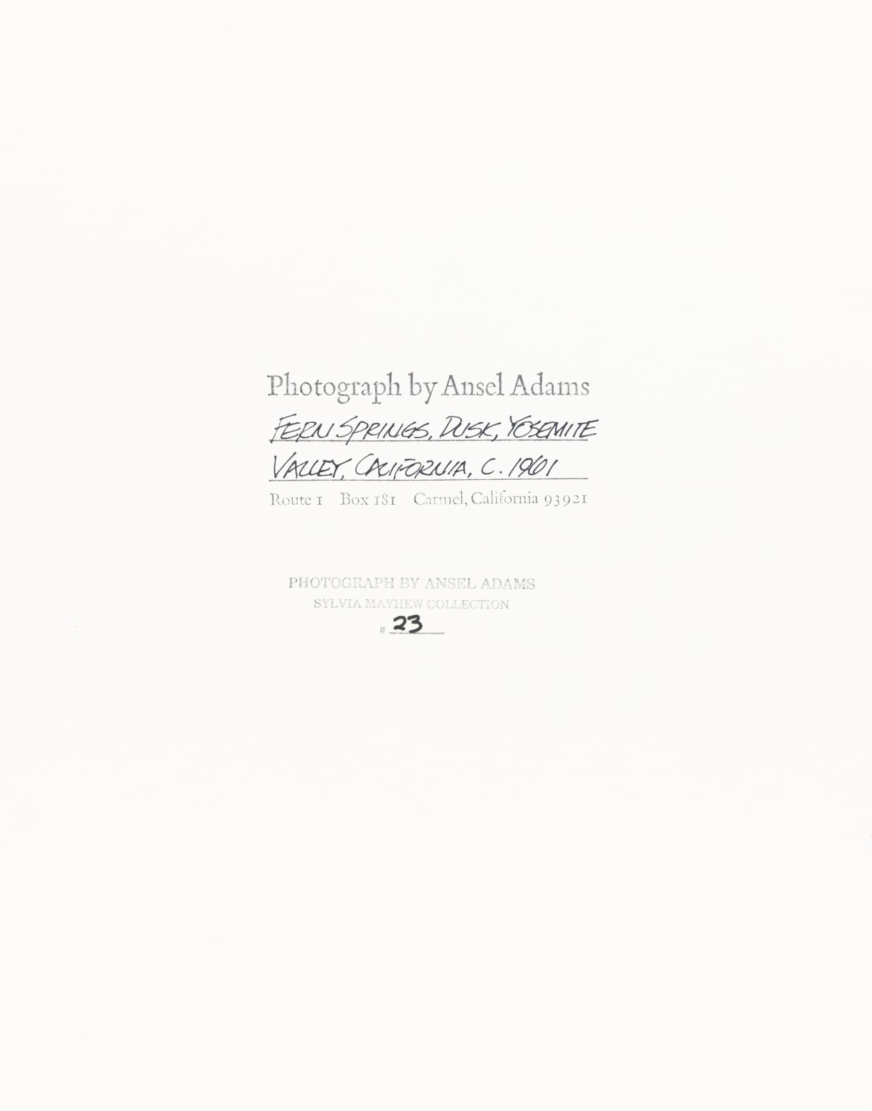 Ansel Adams, Fern Spring, Dusk, Yosemite, 1961