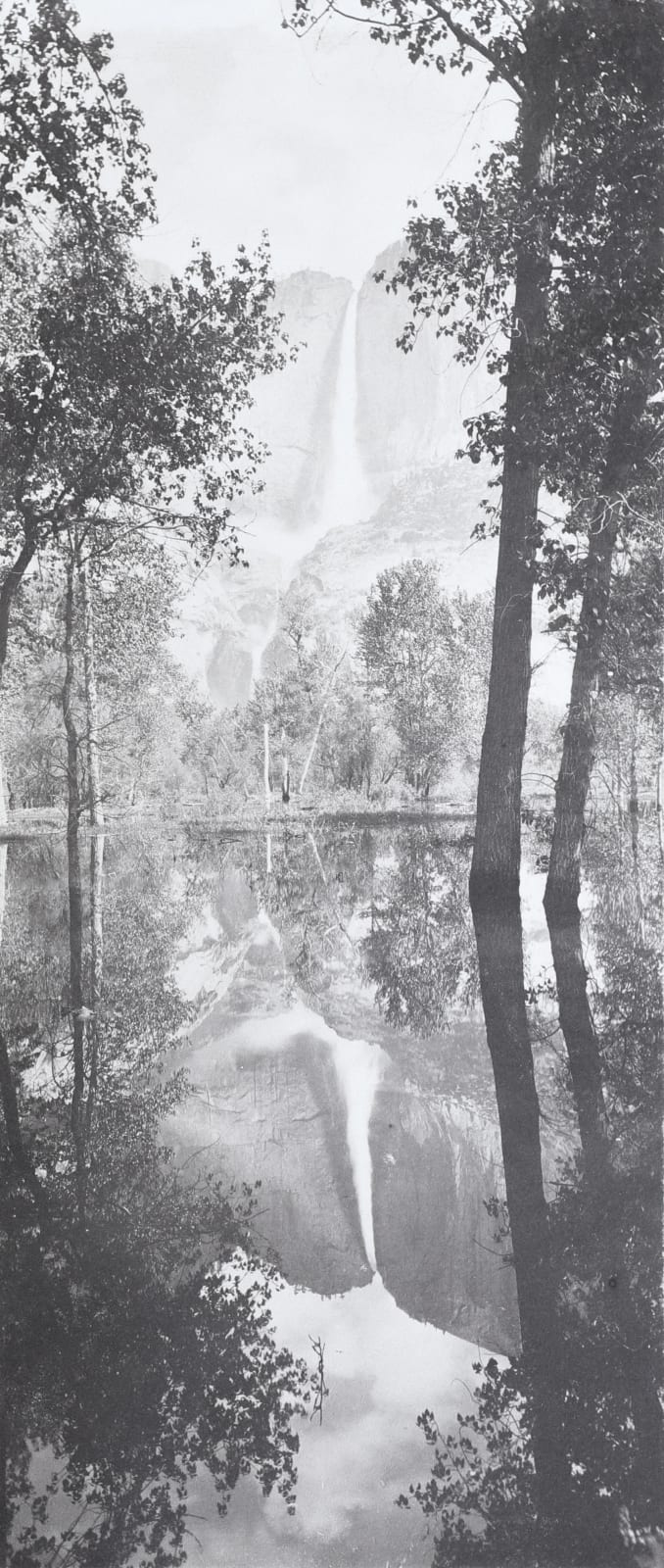 Harold A. Taylor, Album of 14 Yosemite Photographs, c. 1902