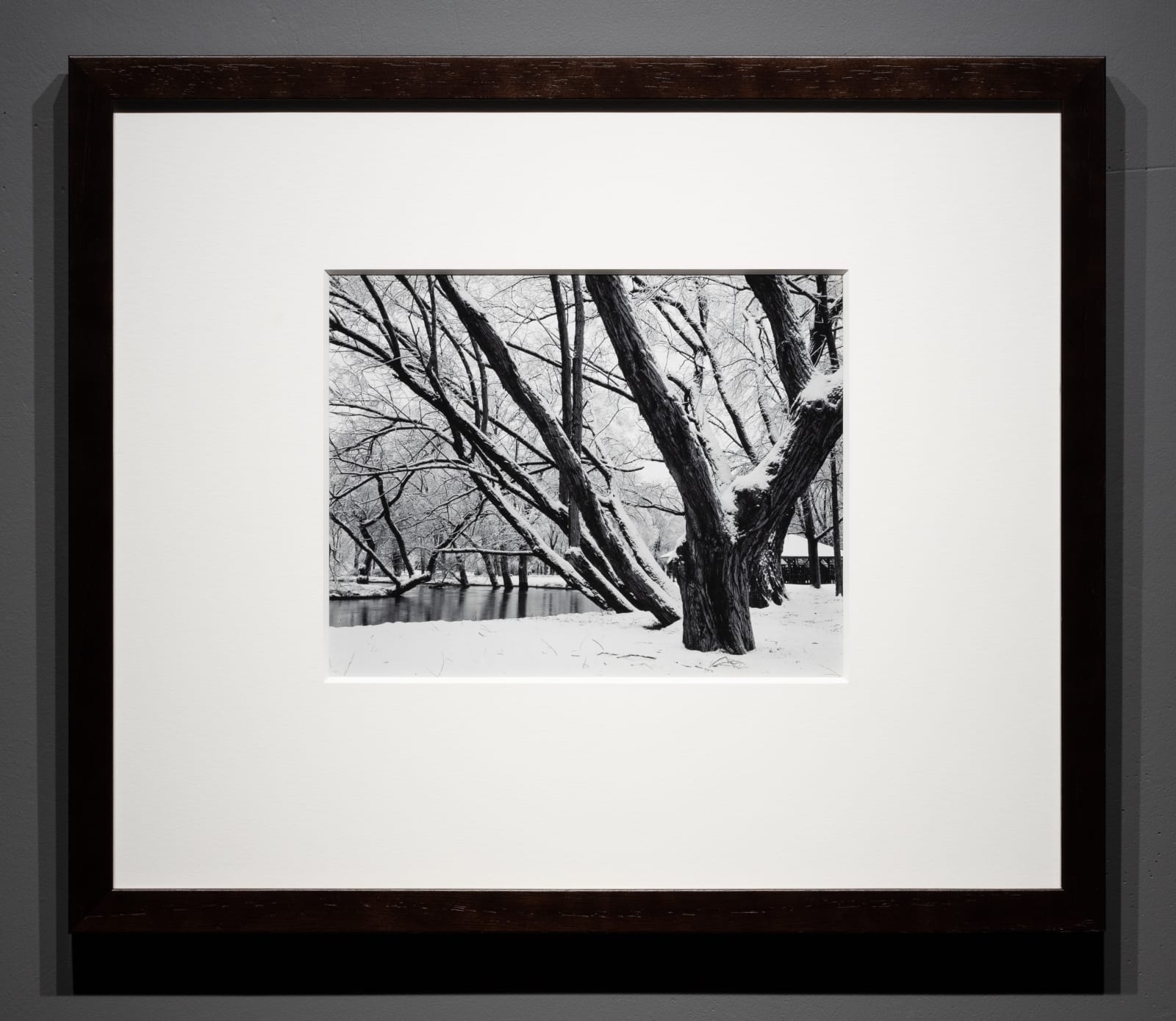 William B. Giles, Snow and Trees , 1962