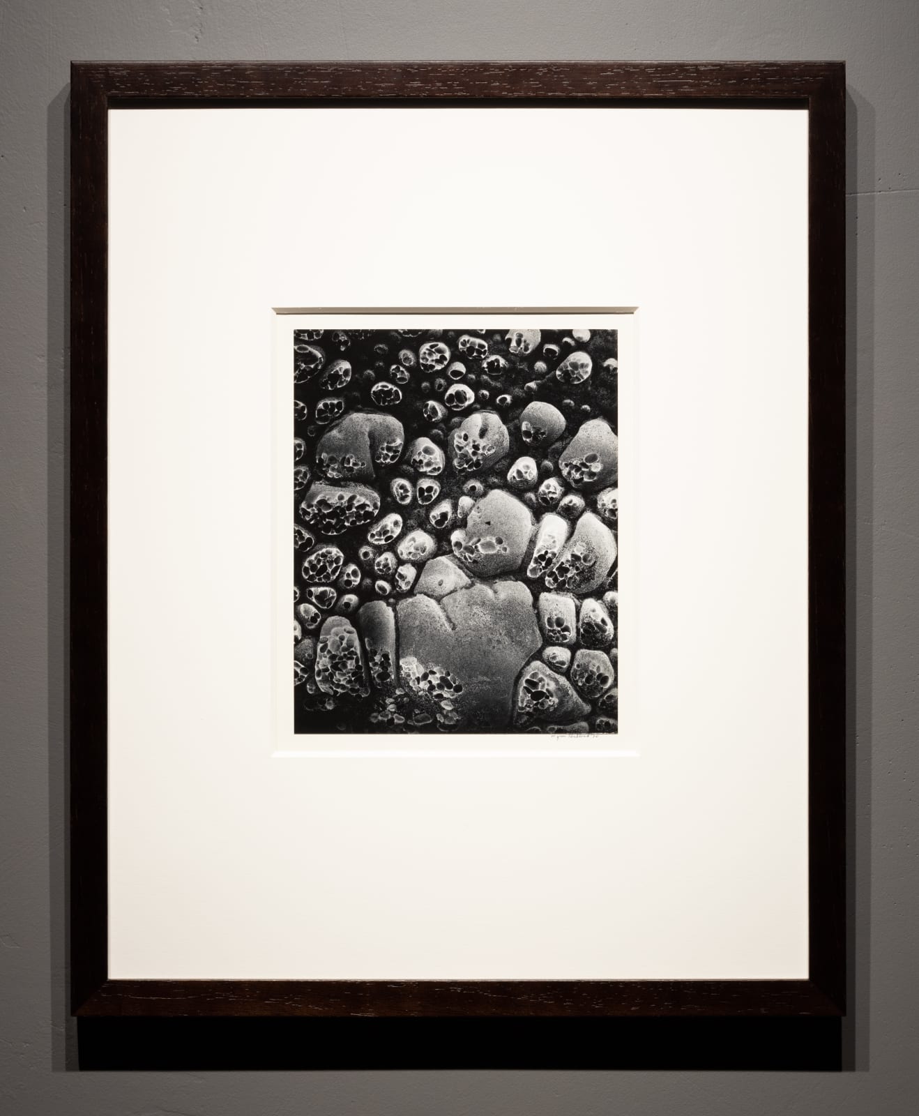 Wynn Bullock, Pebble Beach, 1970