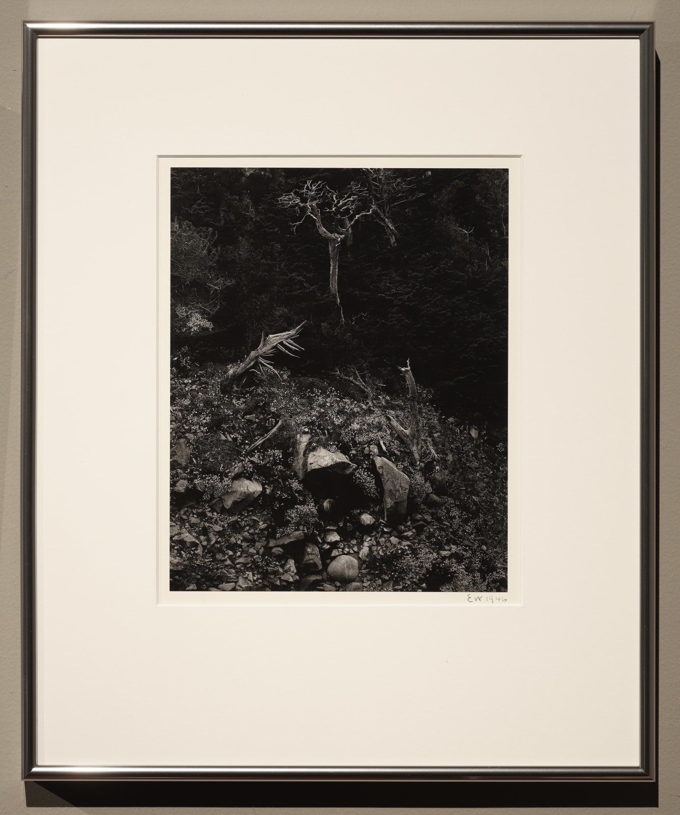 Edward Weston / Brett Weston, North Dome, Point Lobos, 1946