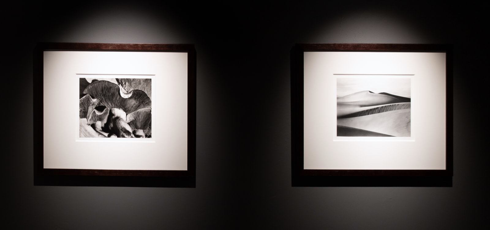 Willard Van Dyke, Death Valley Dunes, c. 1930