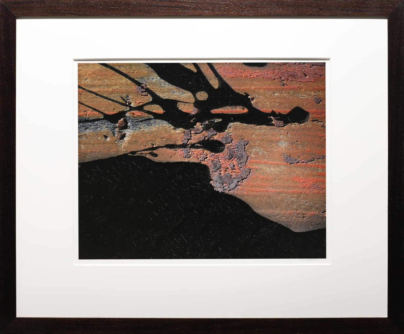 Cole Weston, Tar, North Carolina, 1985