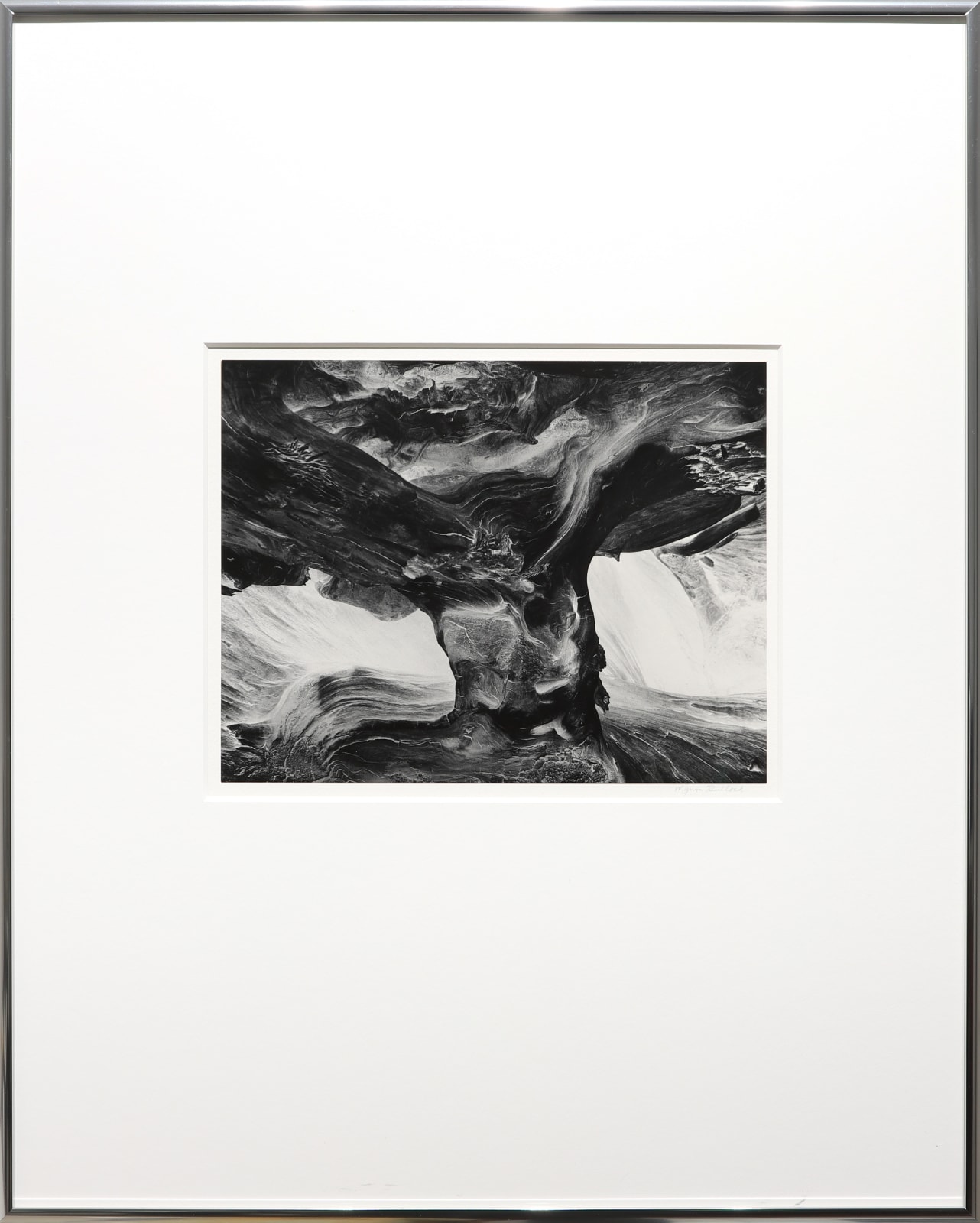 Wynn Bullock, Tree Trunk, 1971