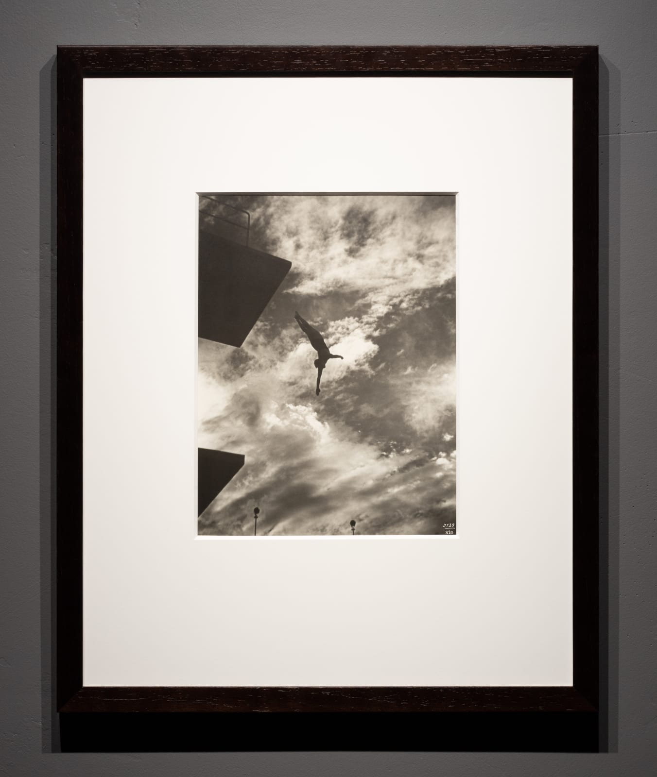 Leni Riefenstahl, The Highboard Diver, Berlin, 1936