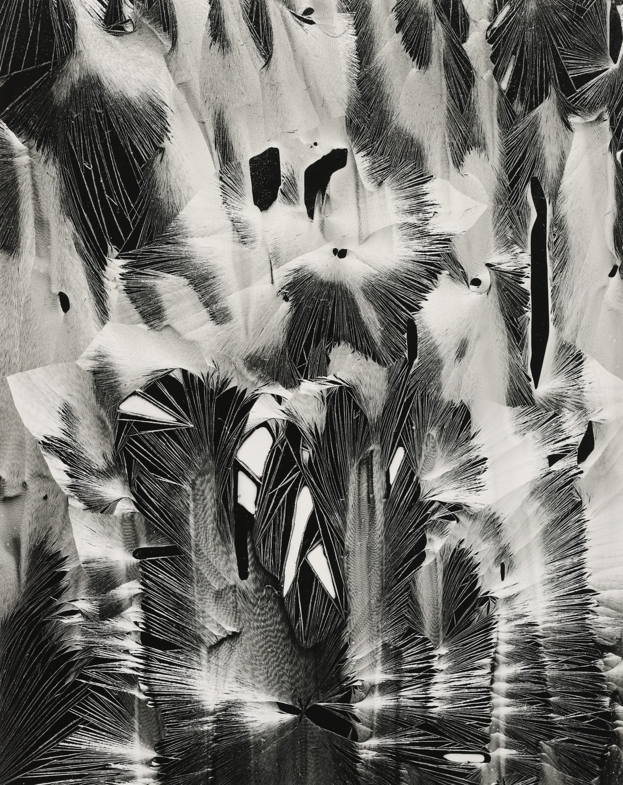 Brett Weston, Cracked Plastic, Garrapata, 1955
