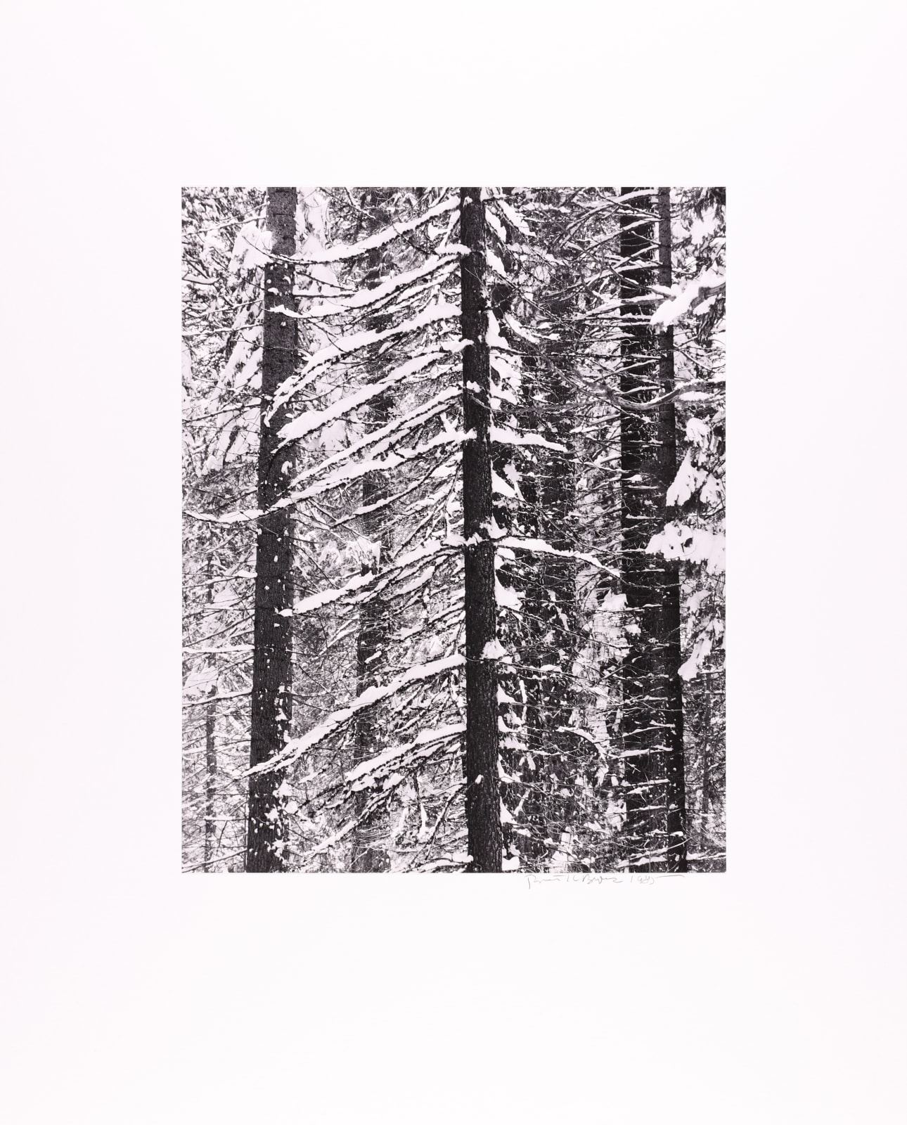 Robert K. Byers, Big Oak Flat Road, Yosemite, CA, 1985