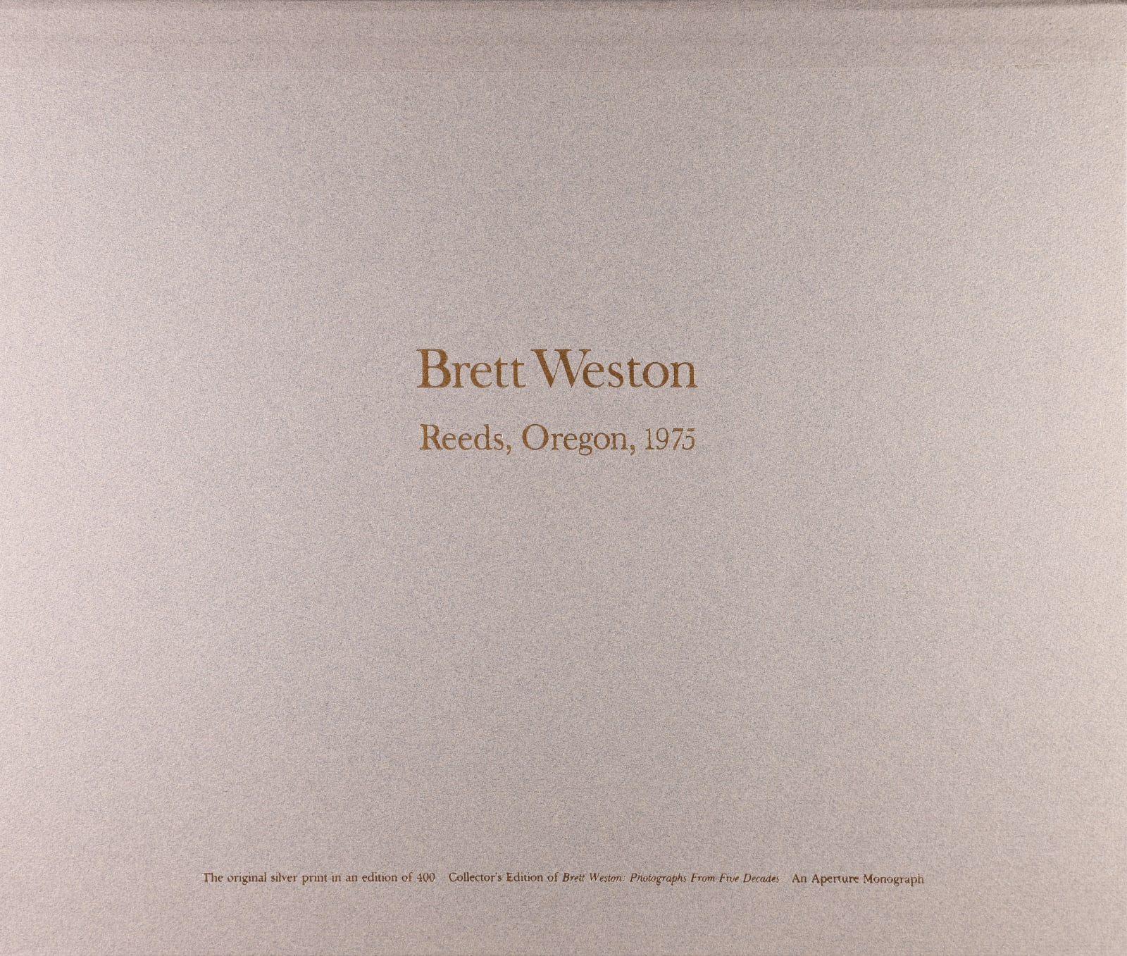 Brett Weston, Reeds, Oregon, 1975