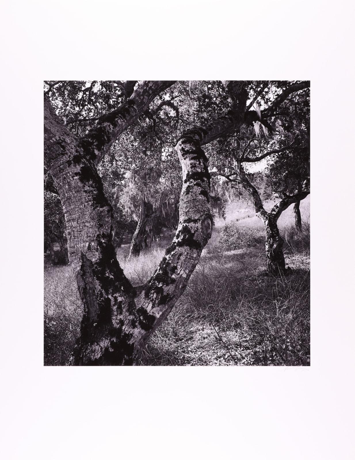 Brett Weston, Garland Memorial Portfolio, 1976